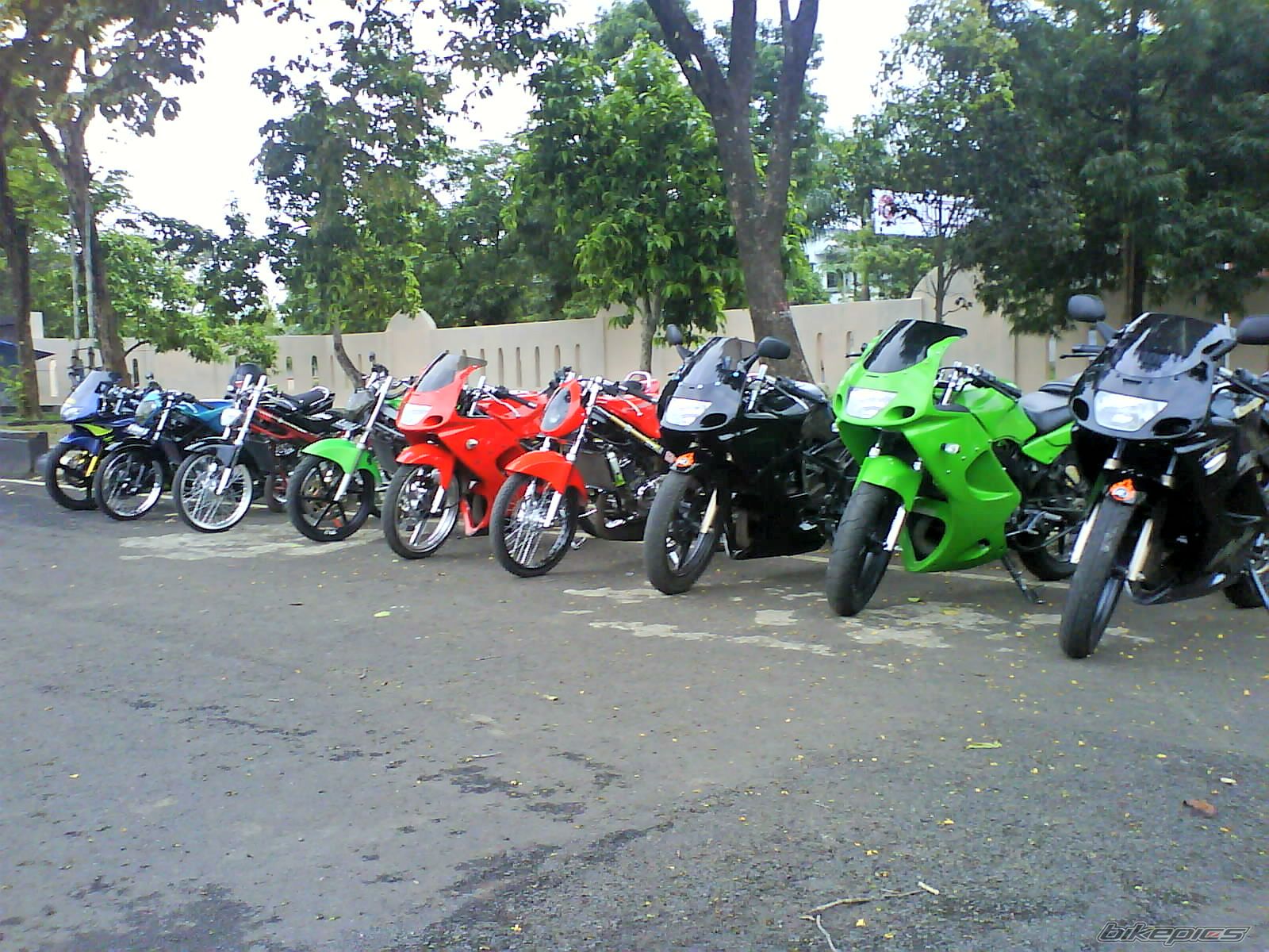 Photo 1529250