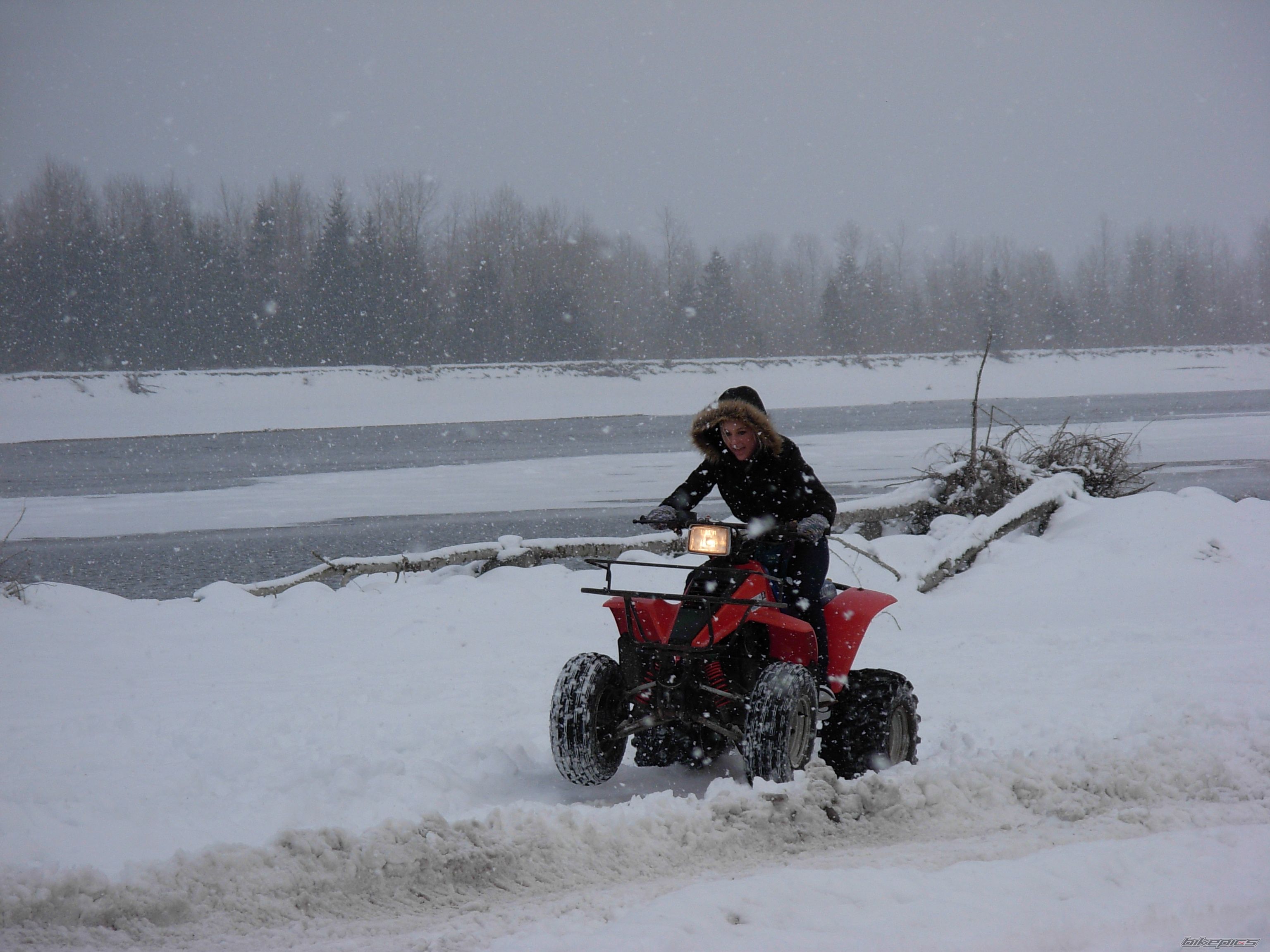 Photo 1529261