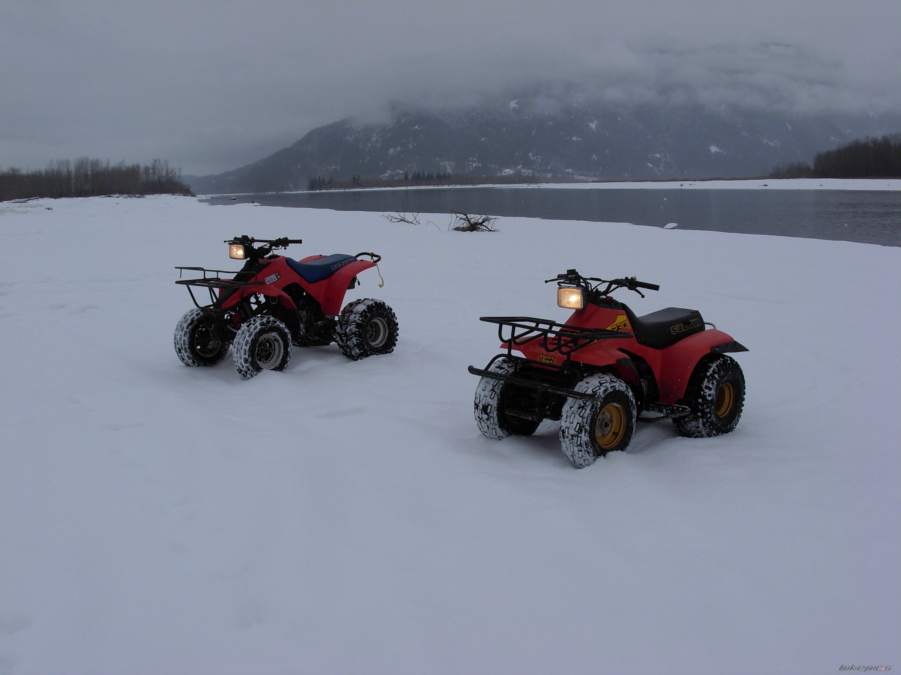 Photo 1529269