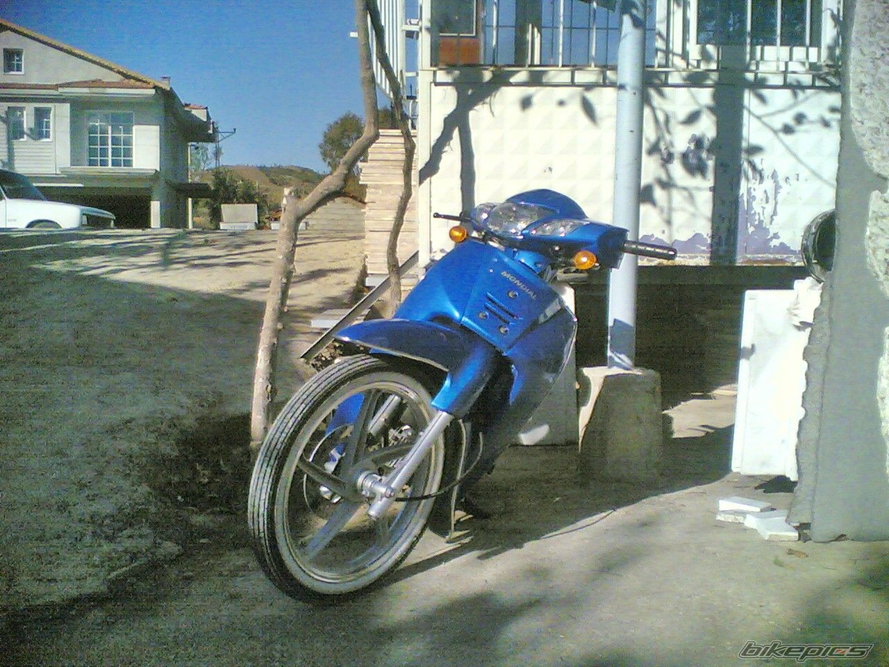 Photo 1529312