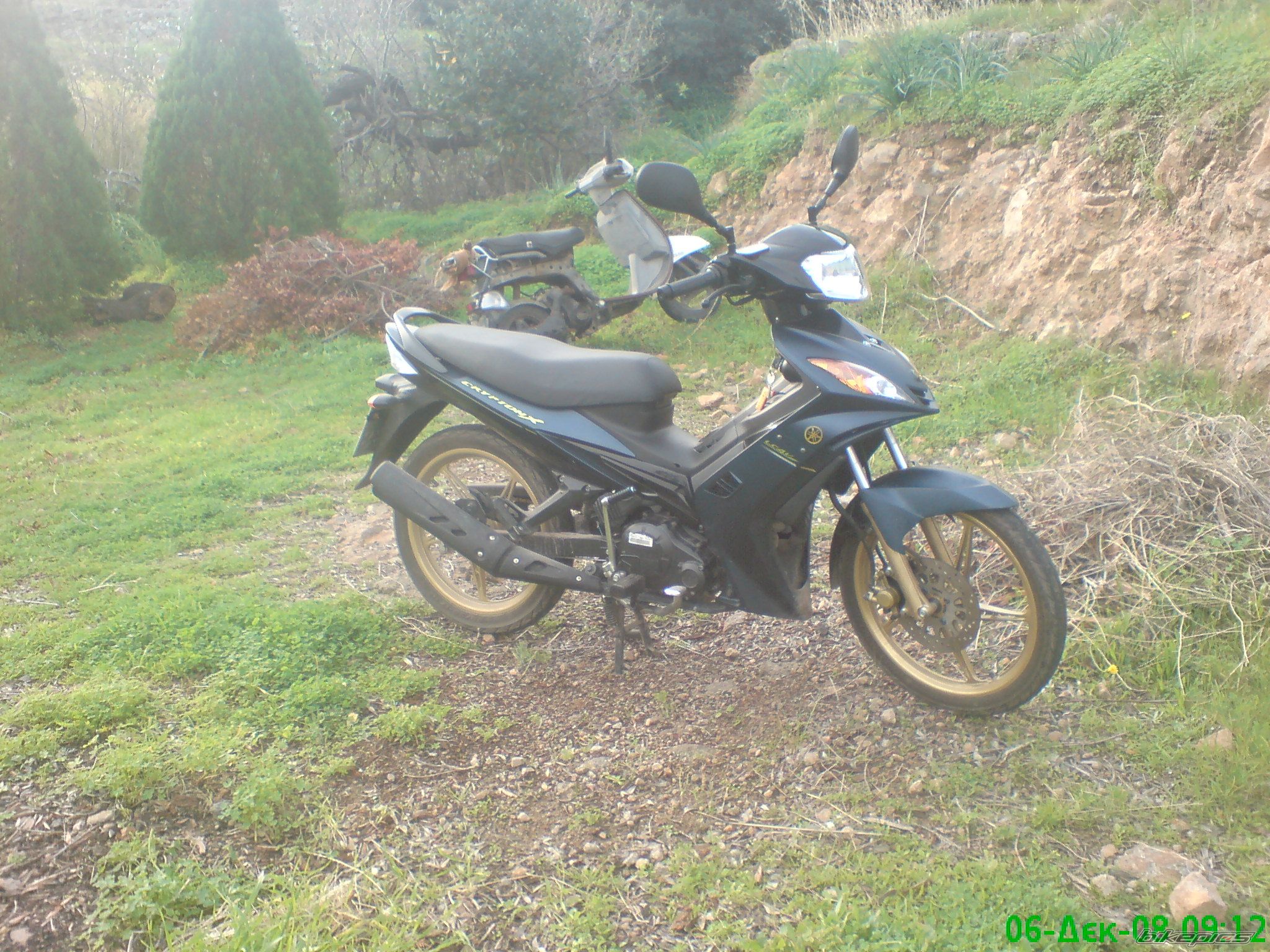 Photo 1529354