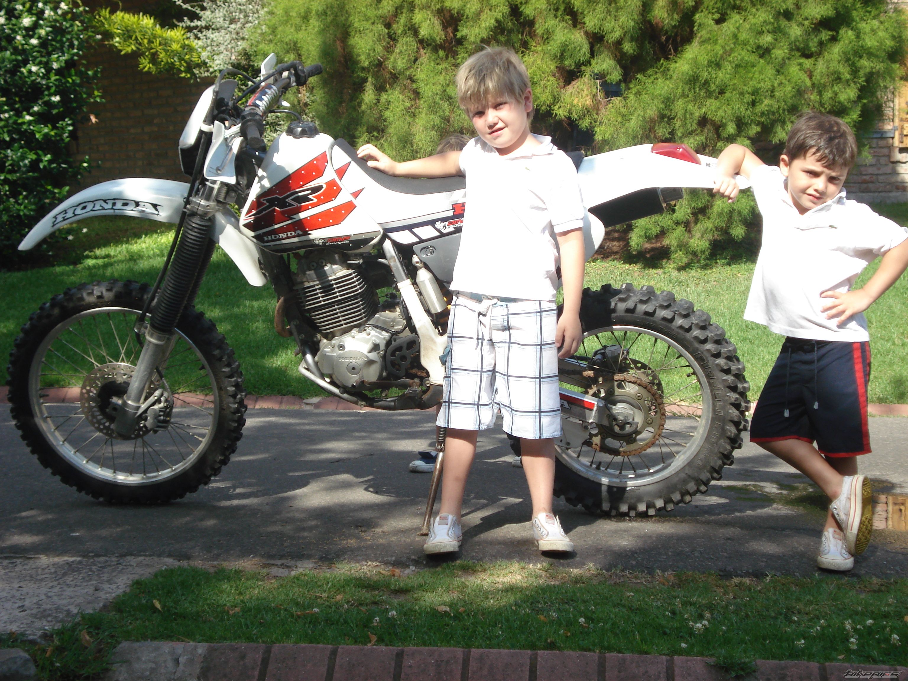 Bike Photo 1529393