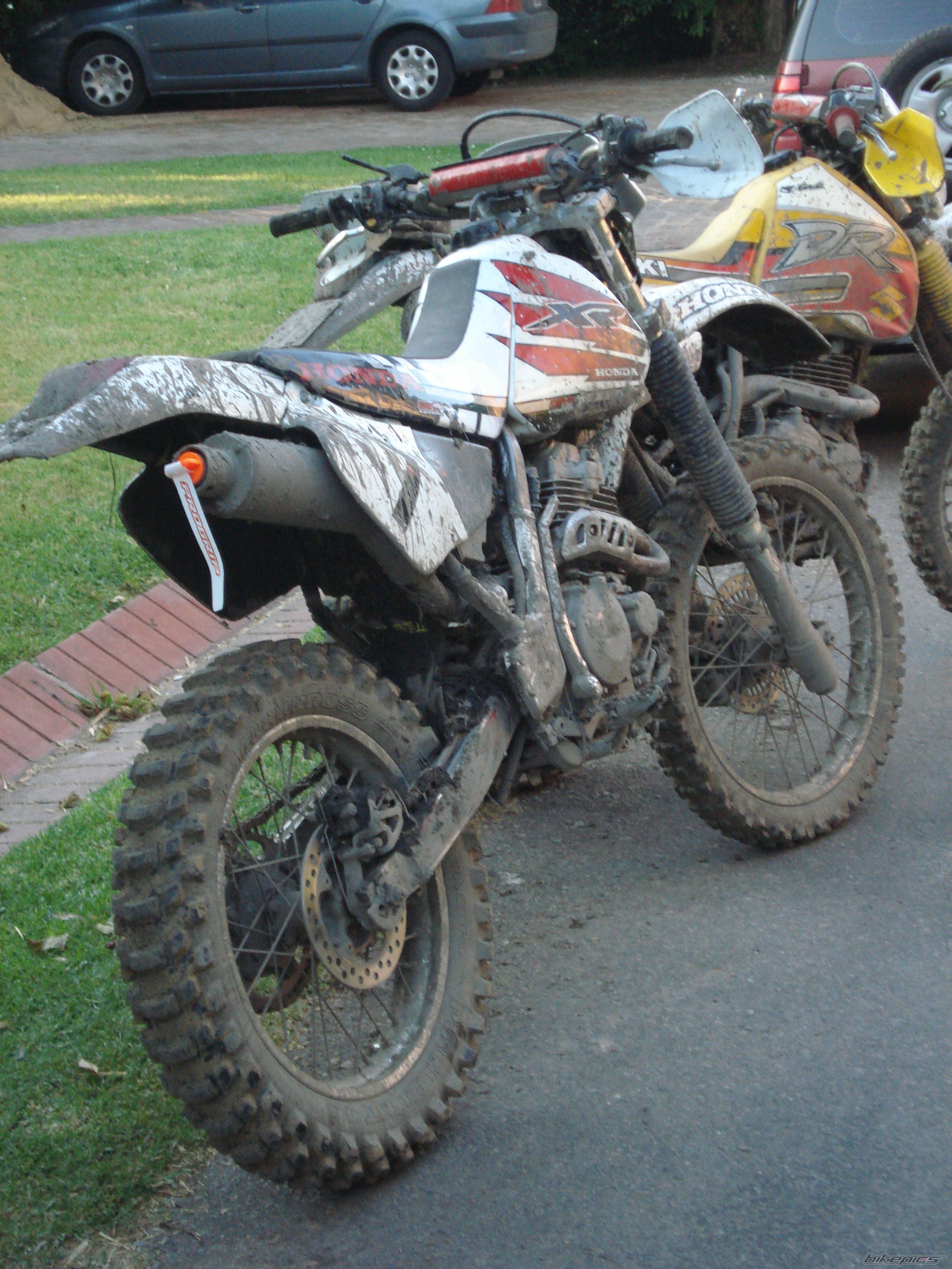 Bike Photo 1529418