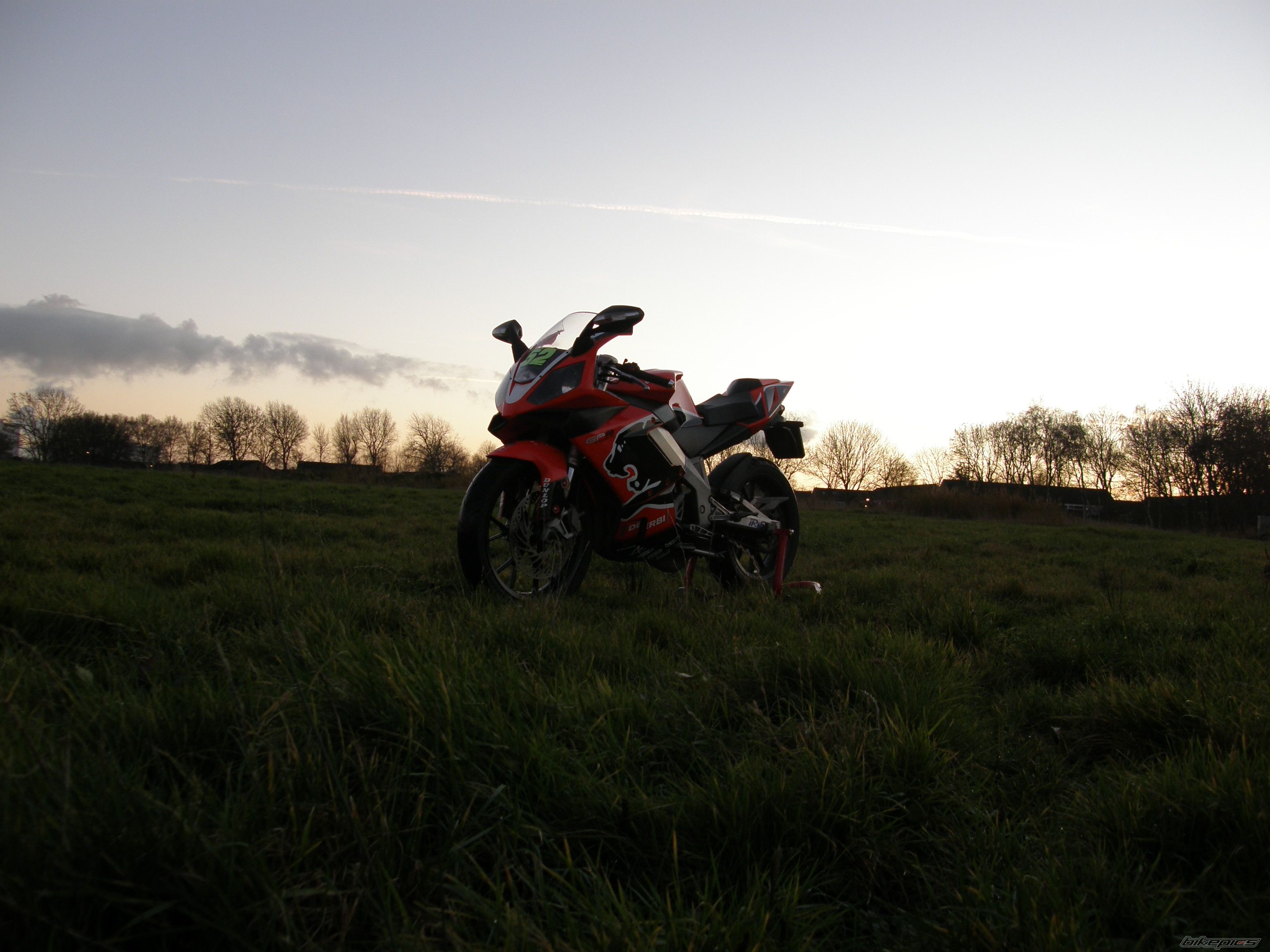 Photo 1529433