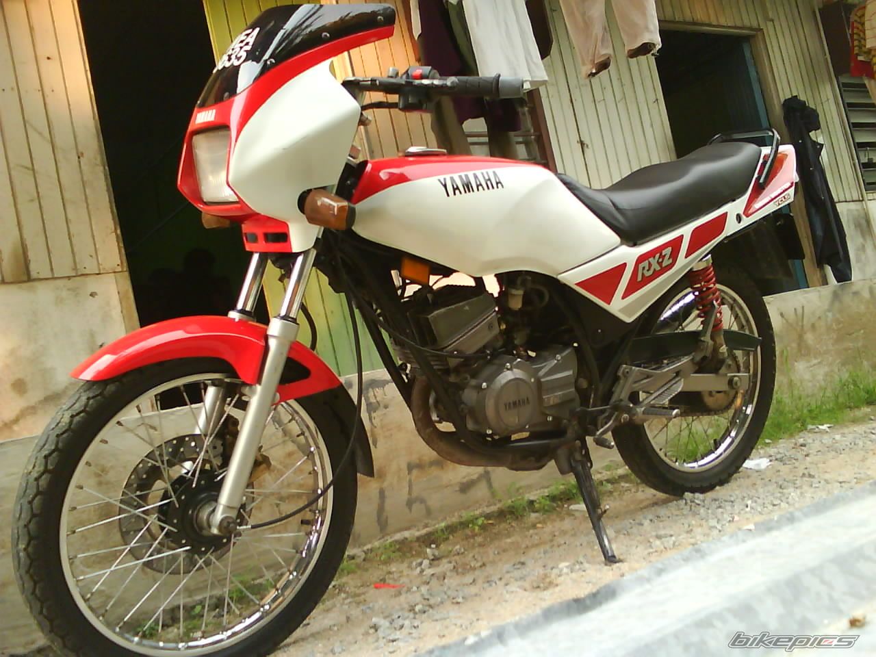 Photo 1529462