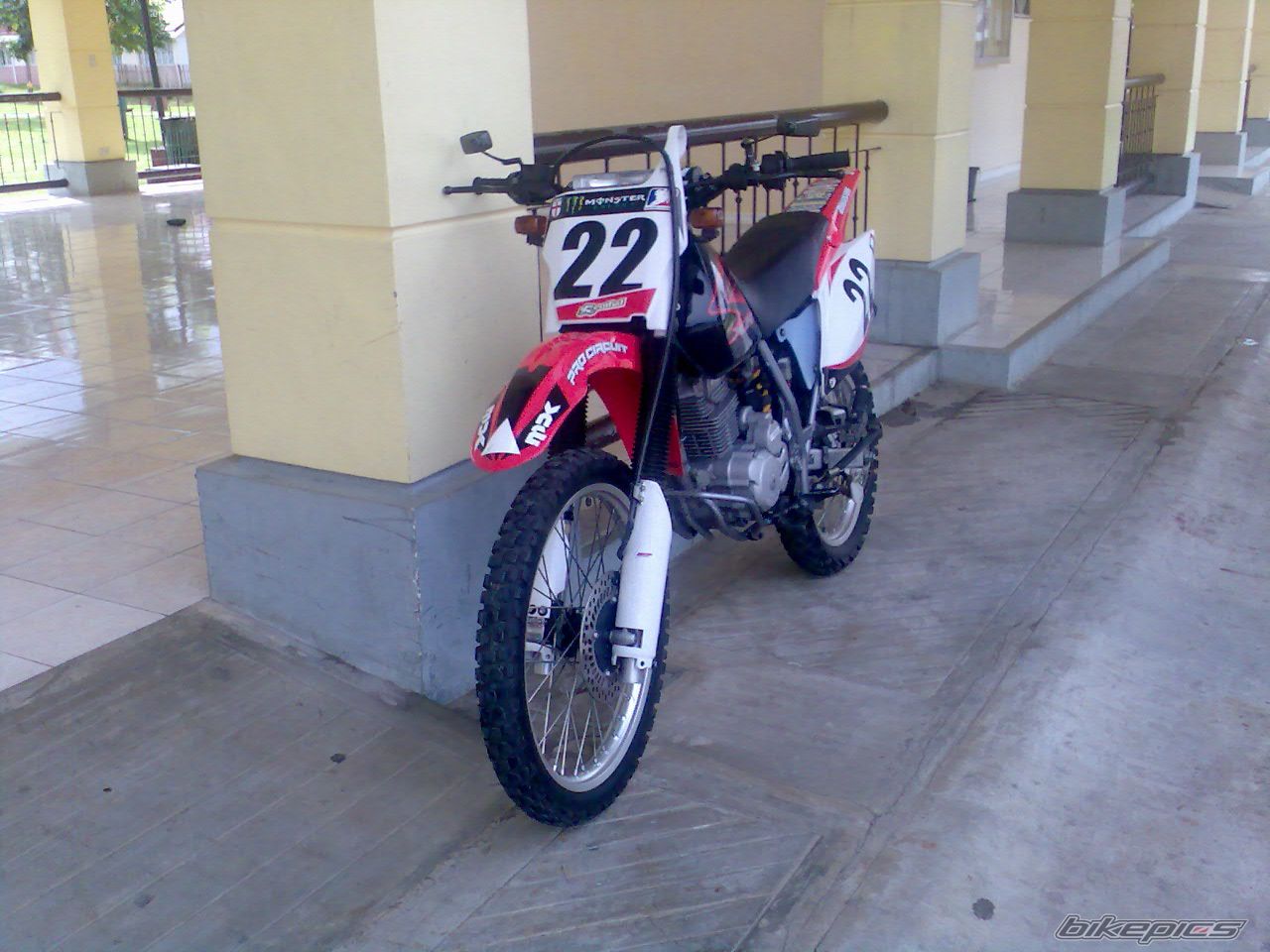 Photo 1529488