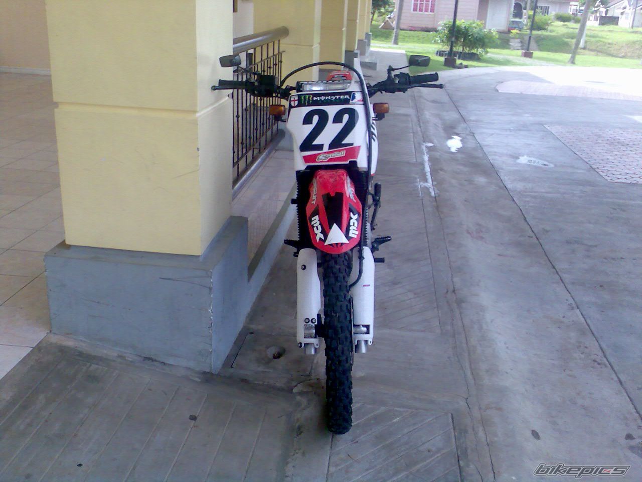 Photo 1529492