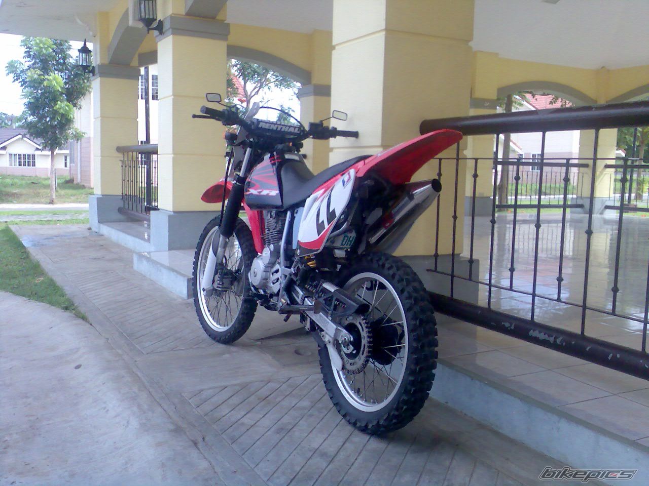Photo 1529494