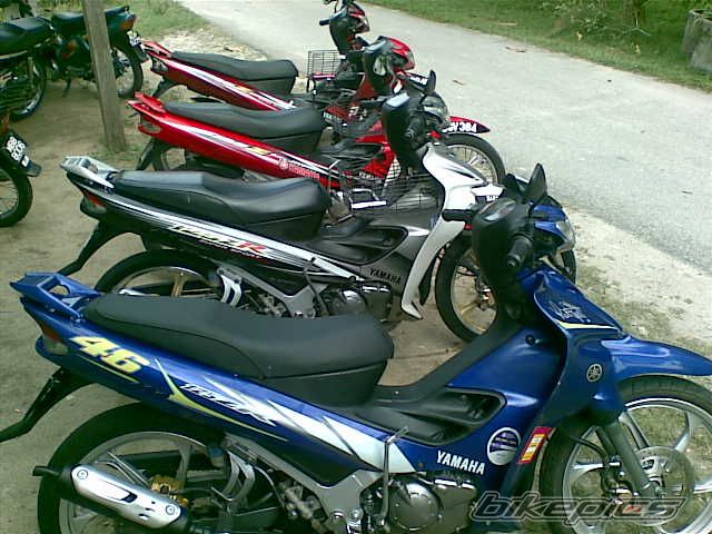 Photo 1529498