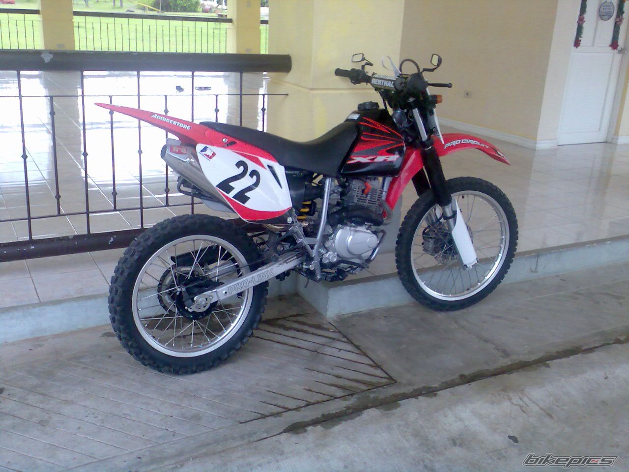 Photo 1529502