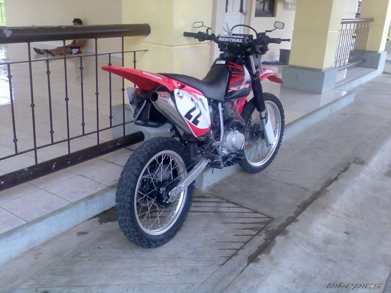 Photo 1529504