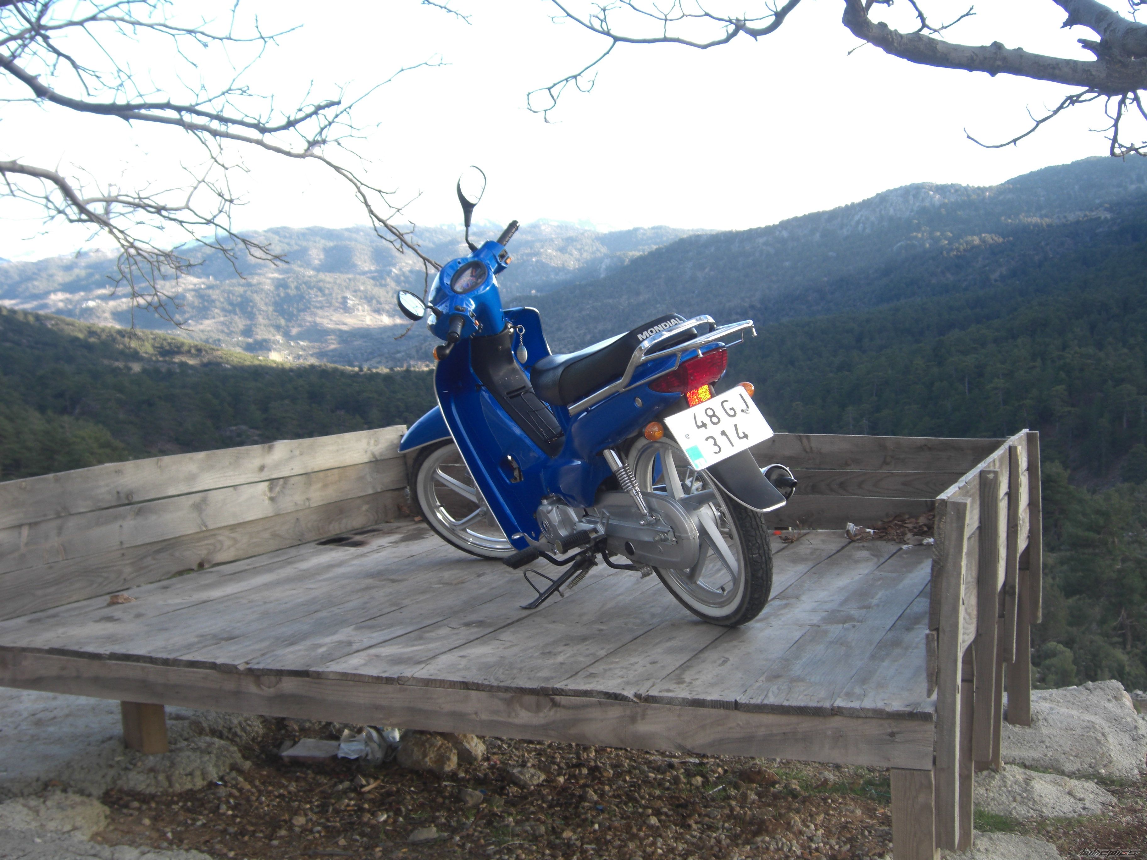 Photo 1529532