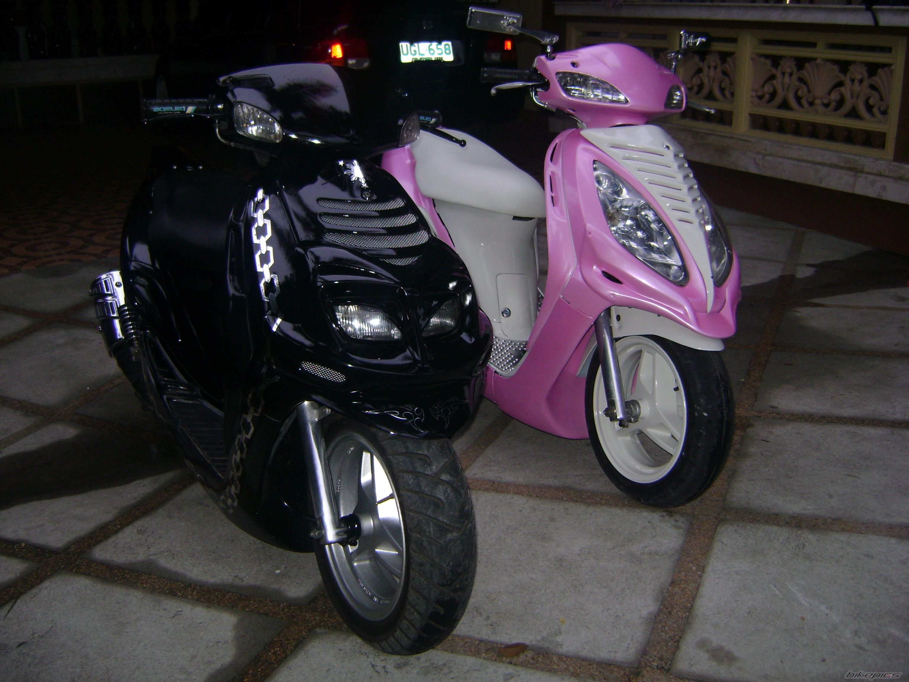 Photo 1529561