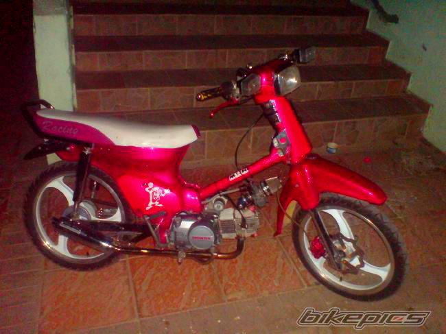 Photo 1529644