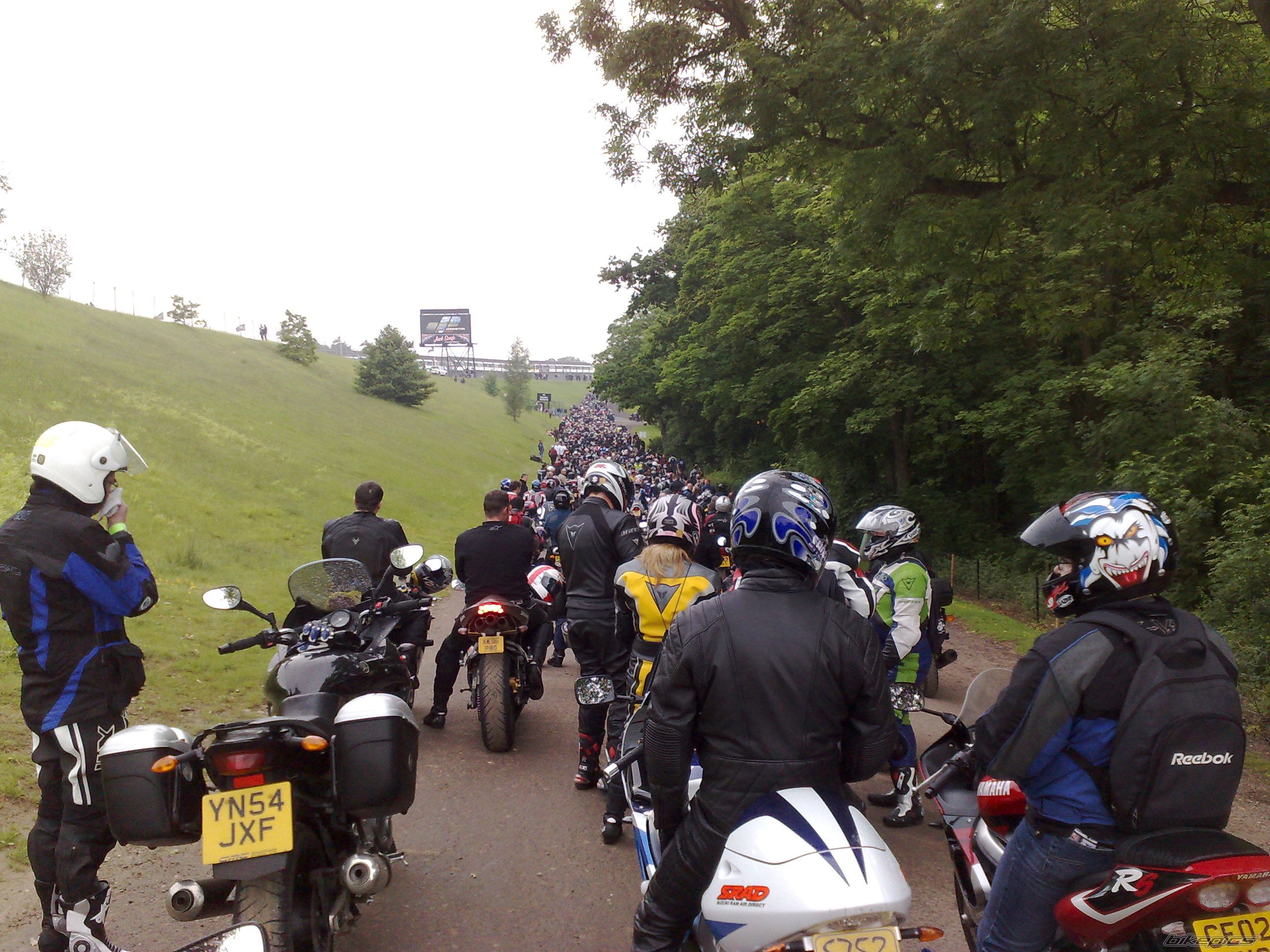 Photo 1529661