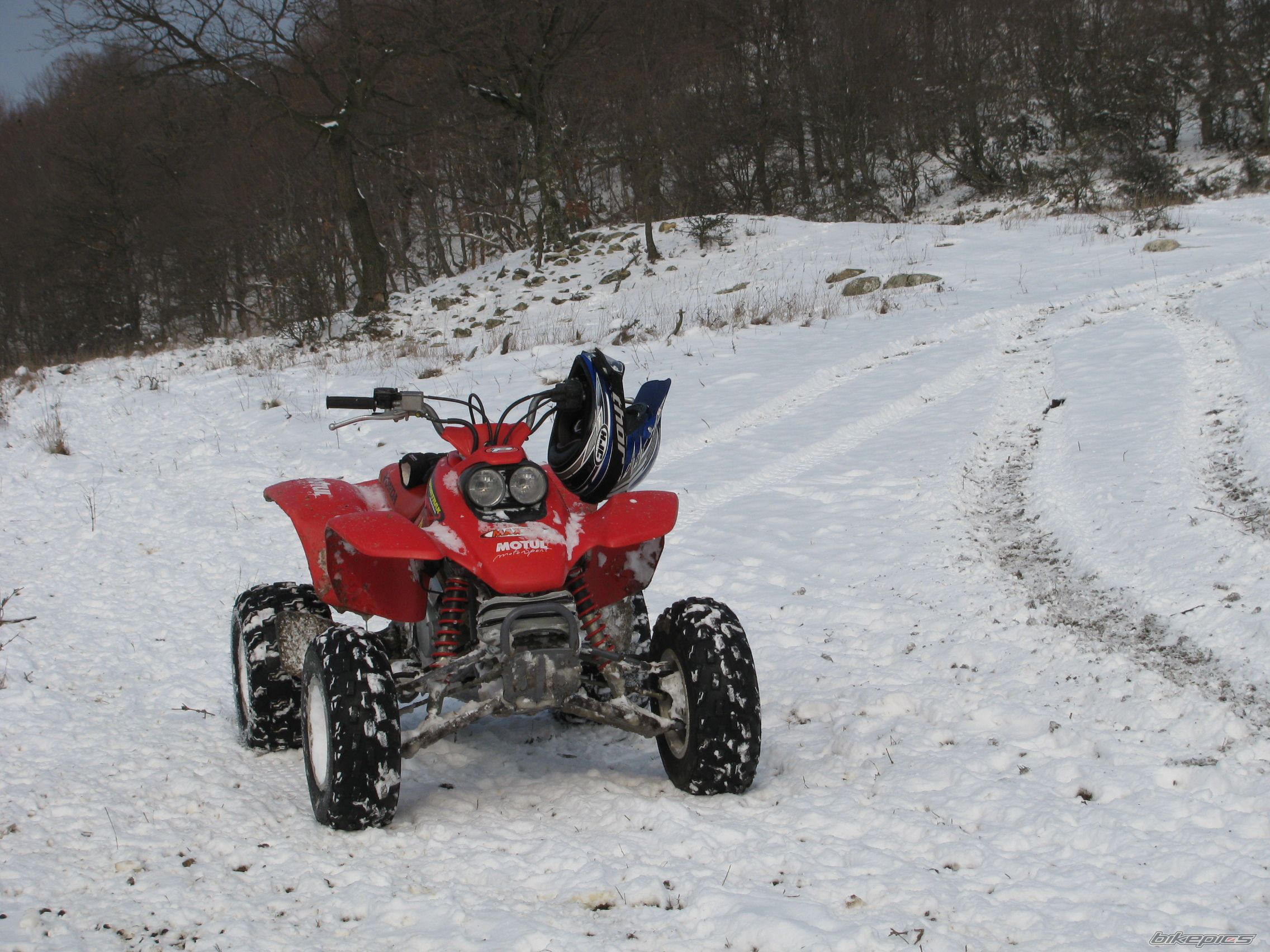 Photo 1529739