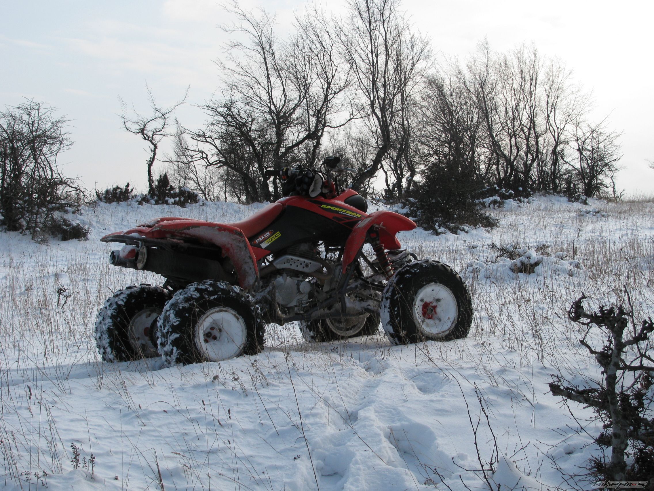 Bike Photo 1529740