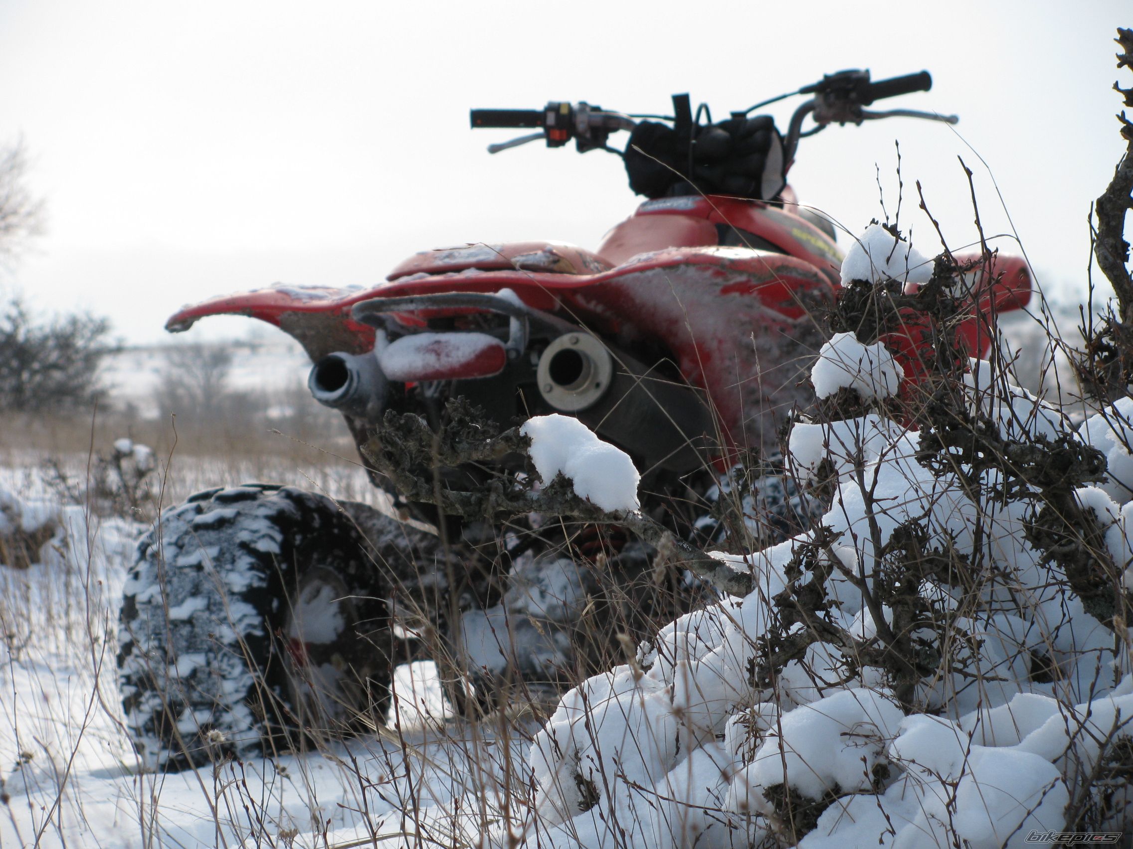 Photo 1529742
