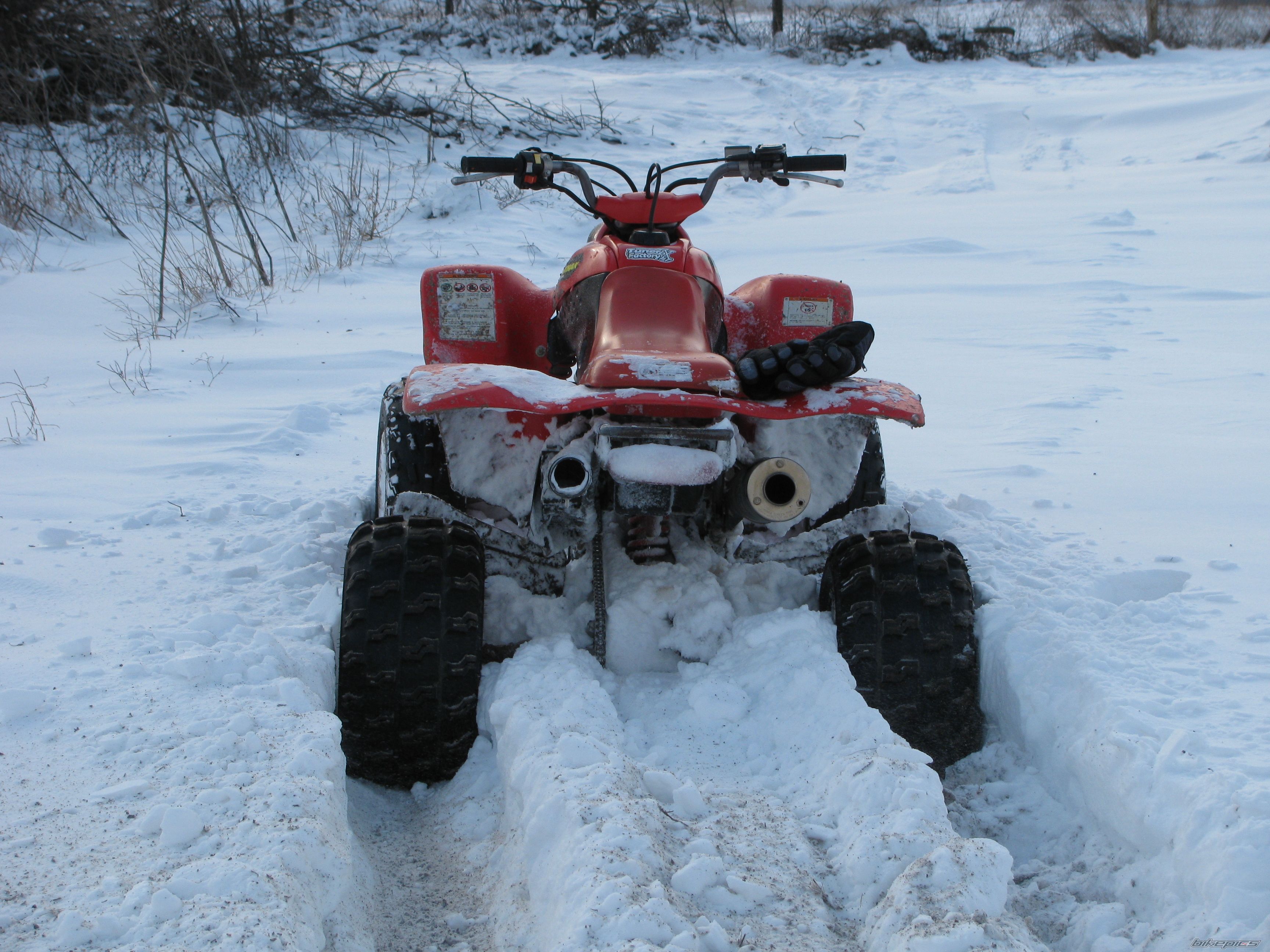 Bike Photo 1529744