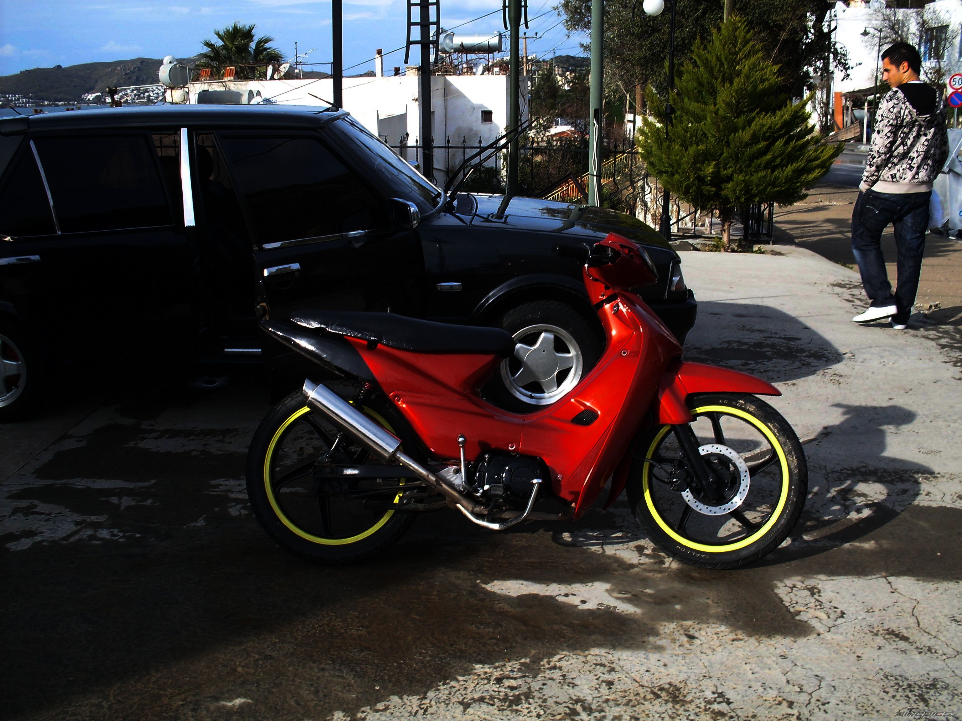 Photo 1529752