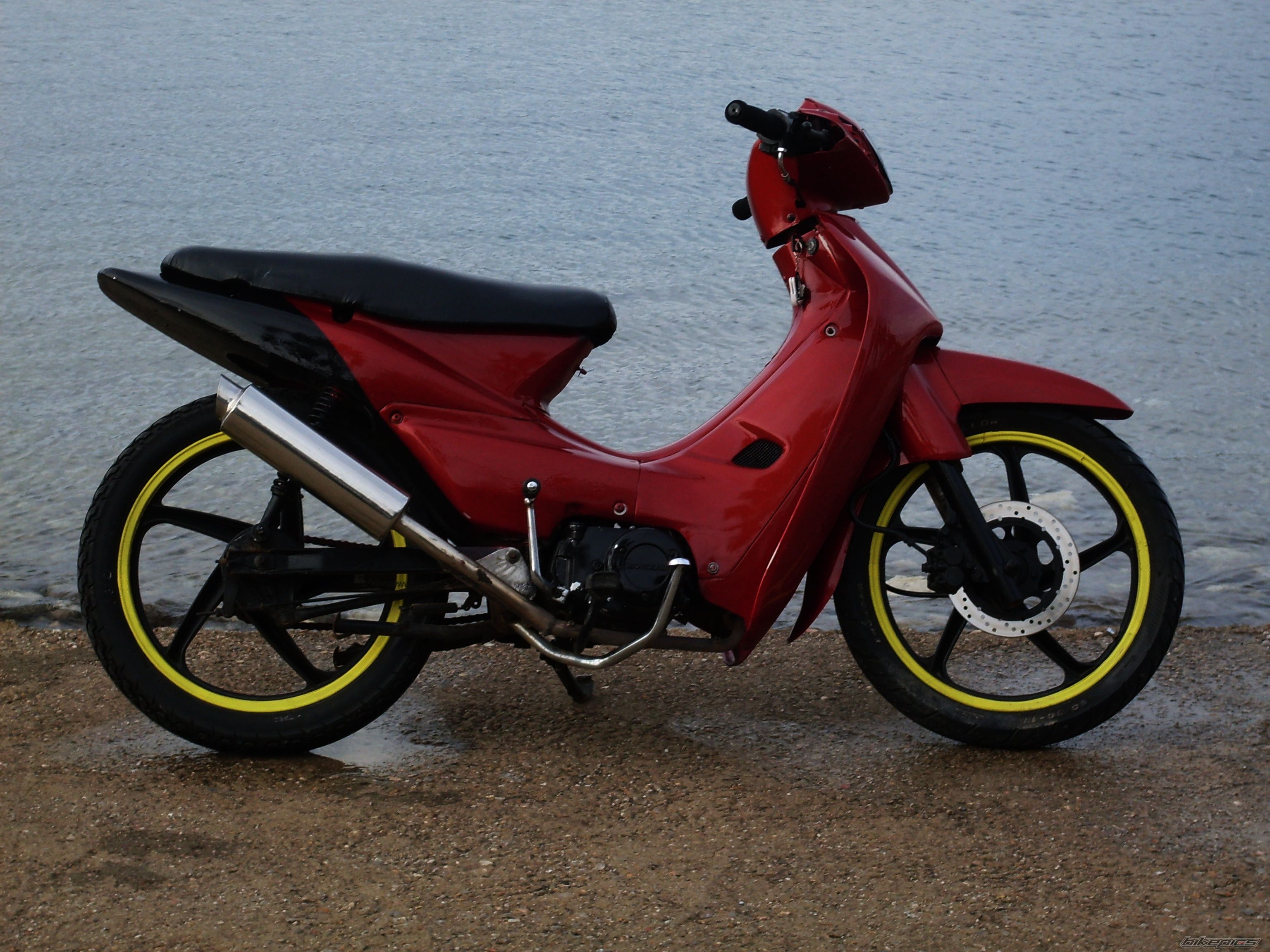 Photo 1529753