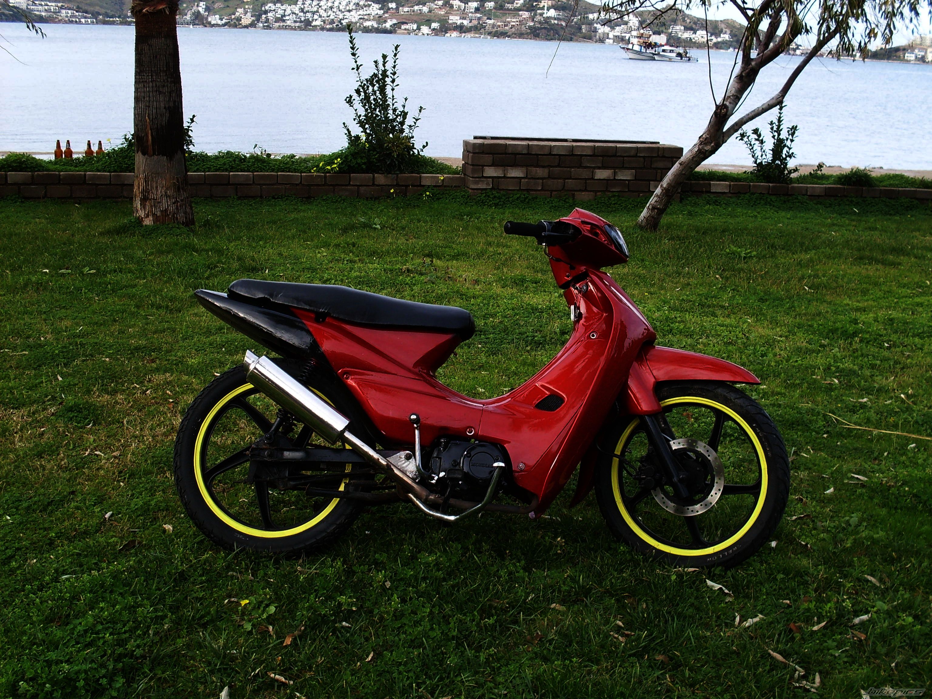 Photo 1529757