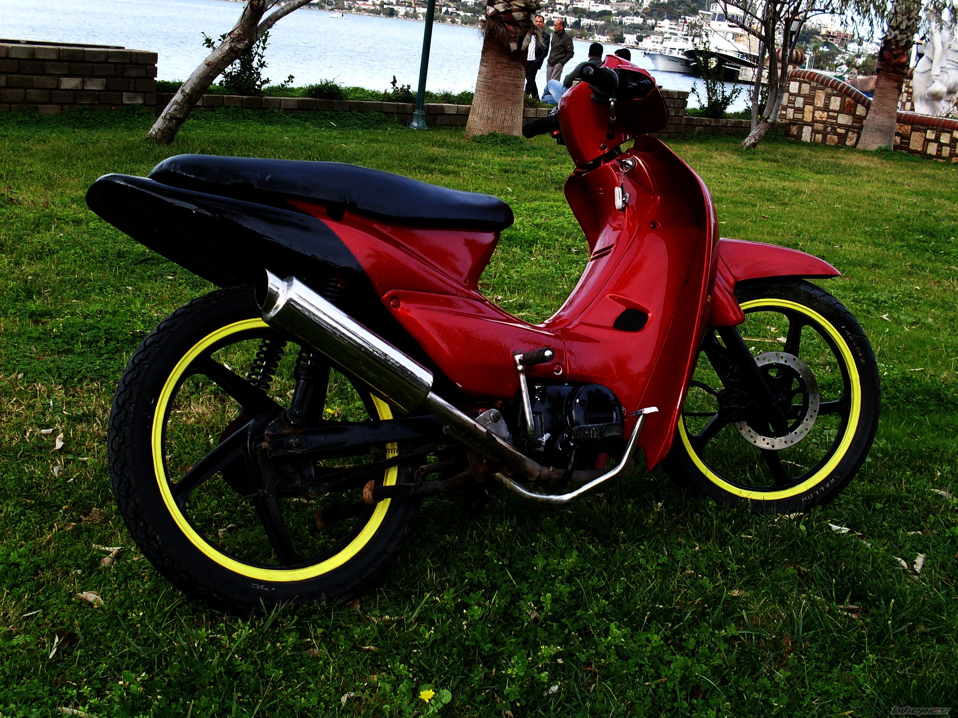 Photo 1529758