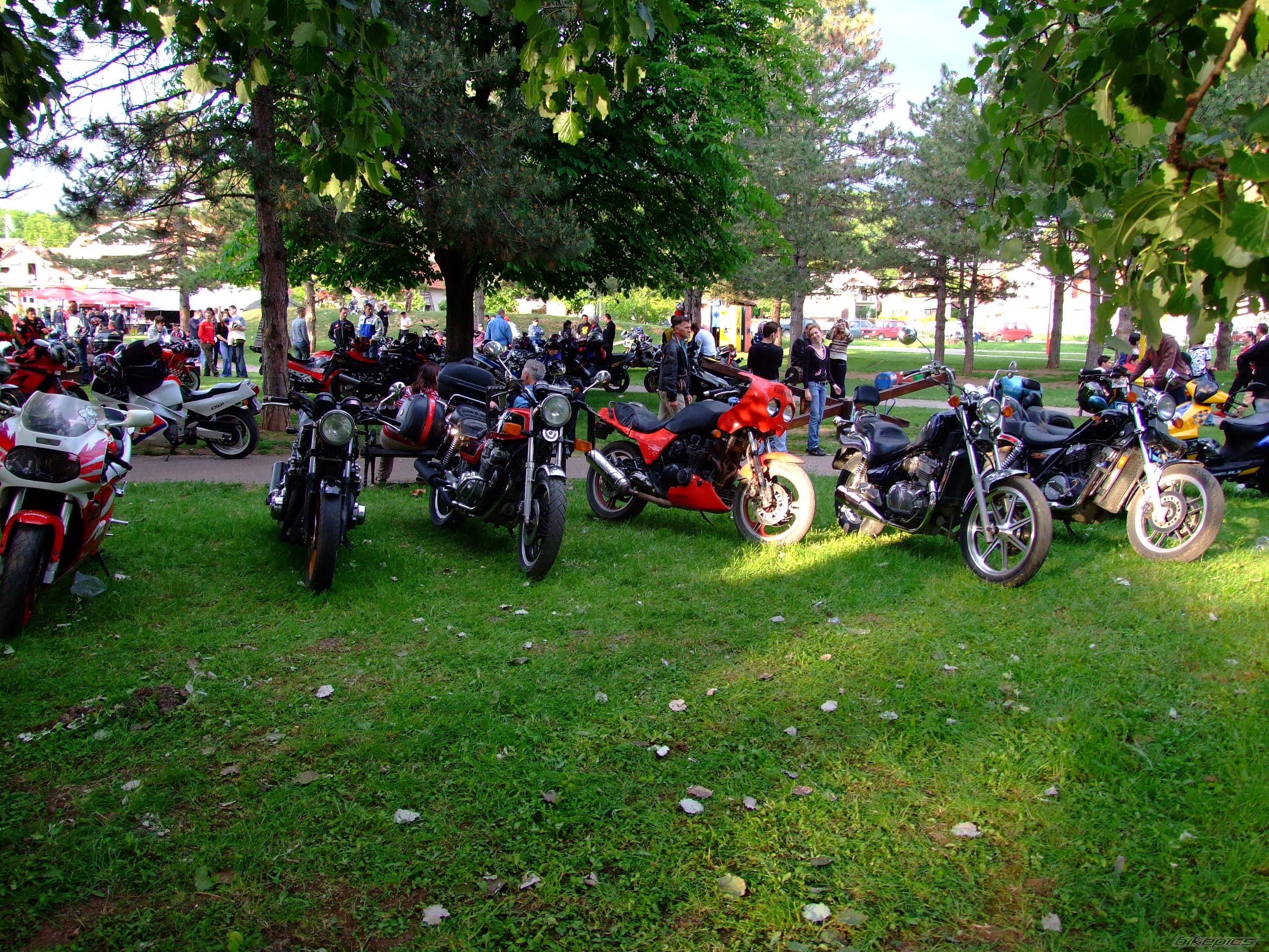 Photo 1529760