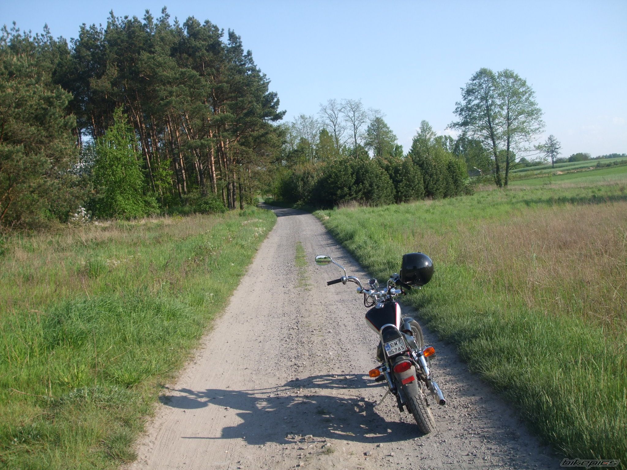 Photo 1529767