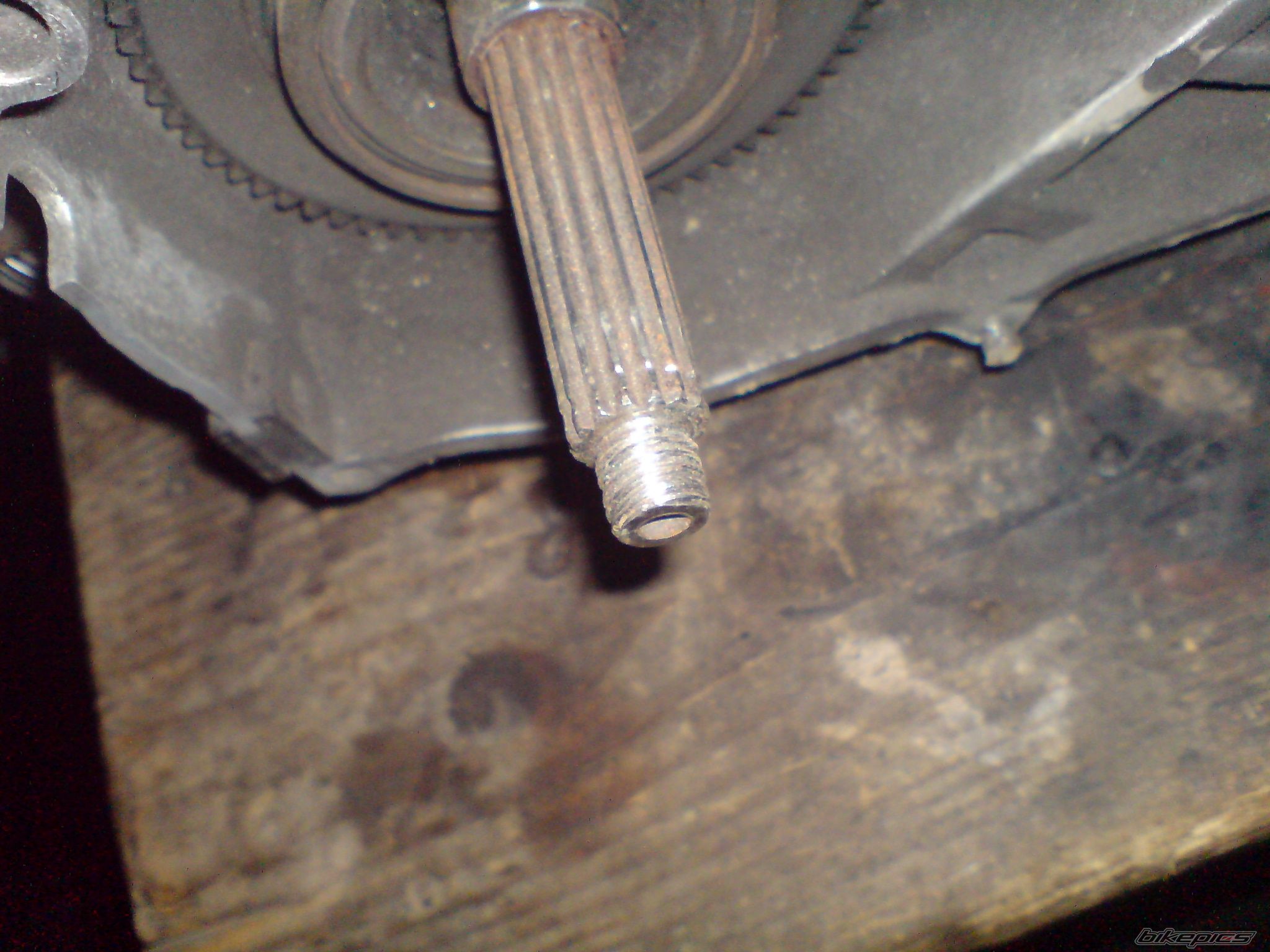 Photo 1529768
