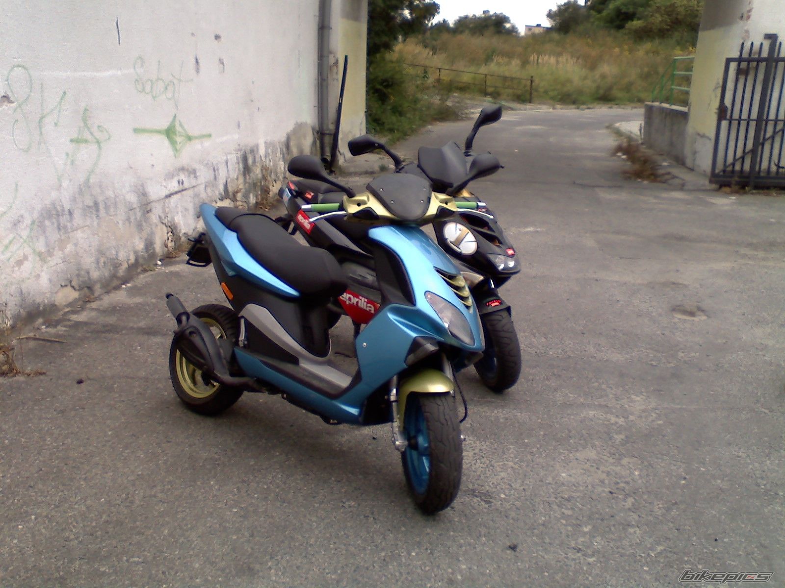 Photo 1529771