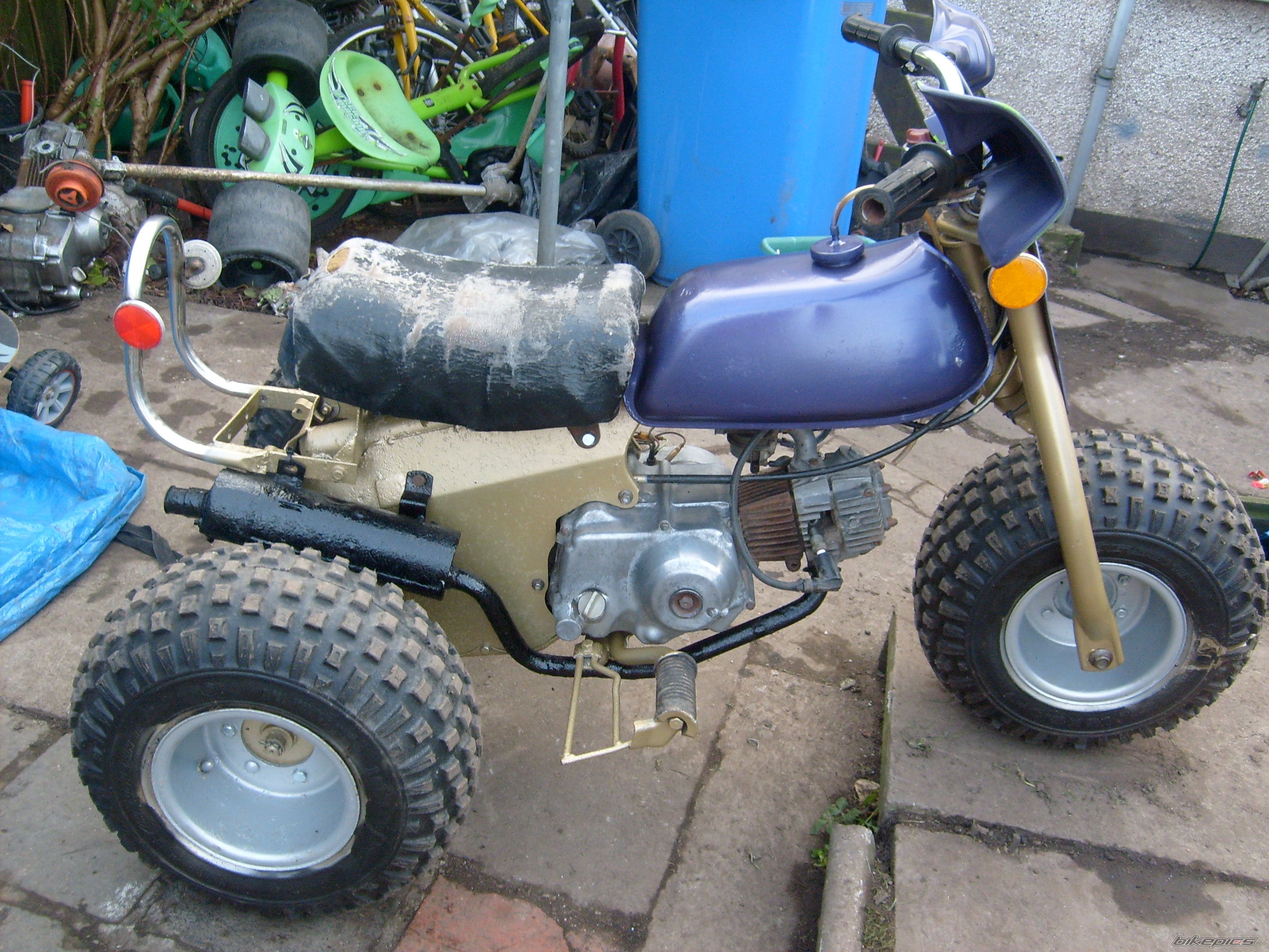 Photo 1529794