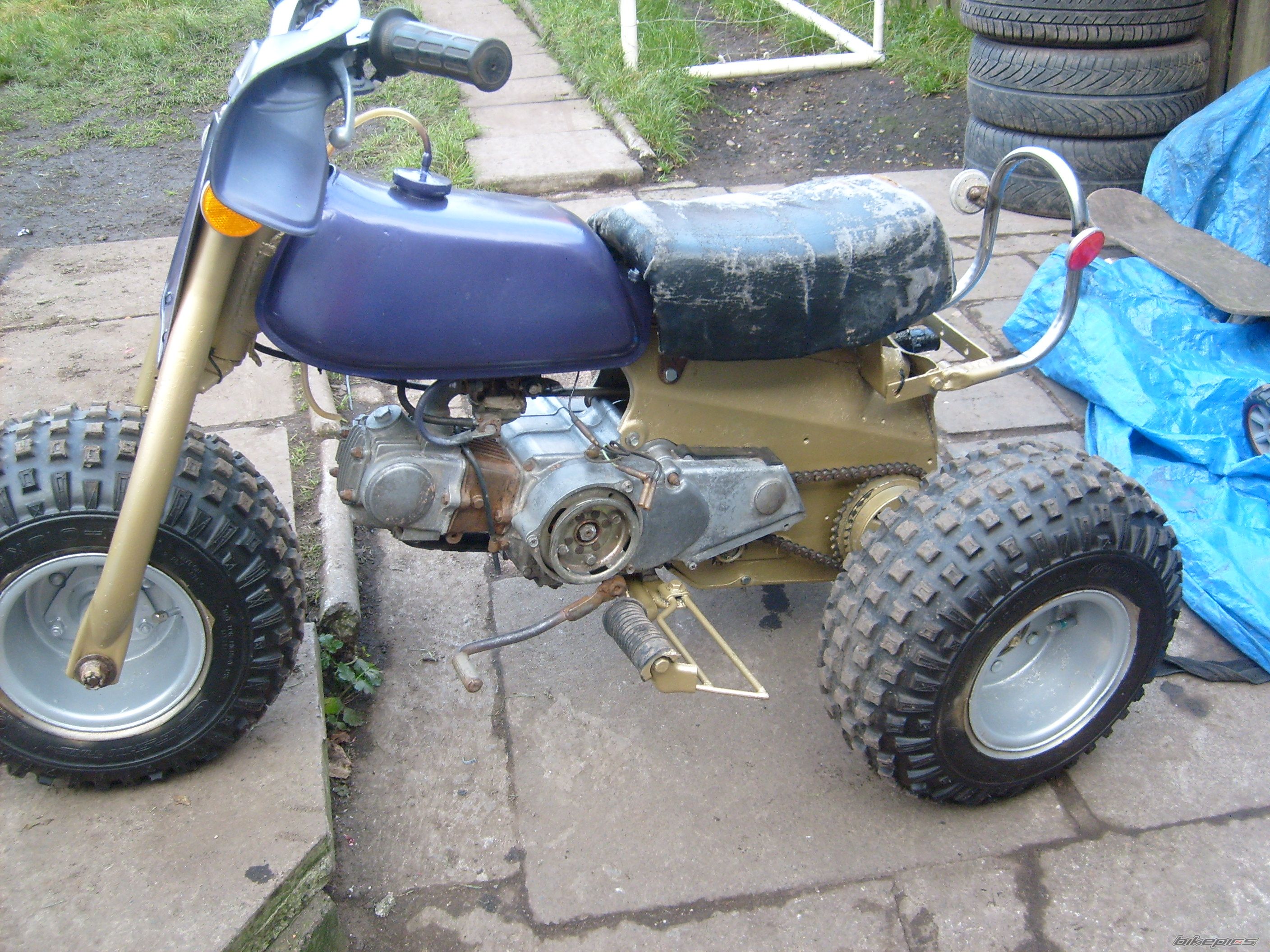 Photo 1529796