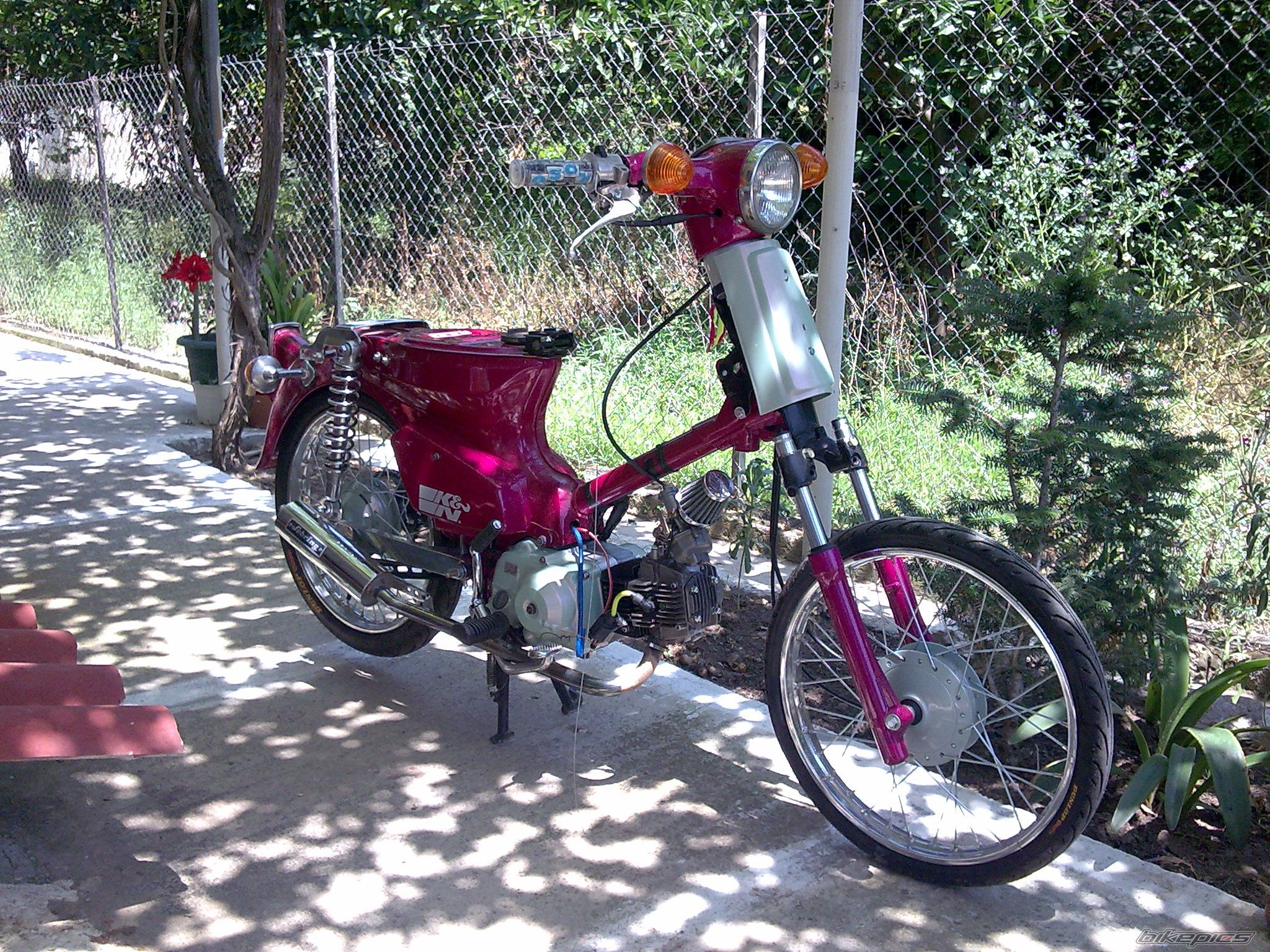 Photo 1529799