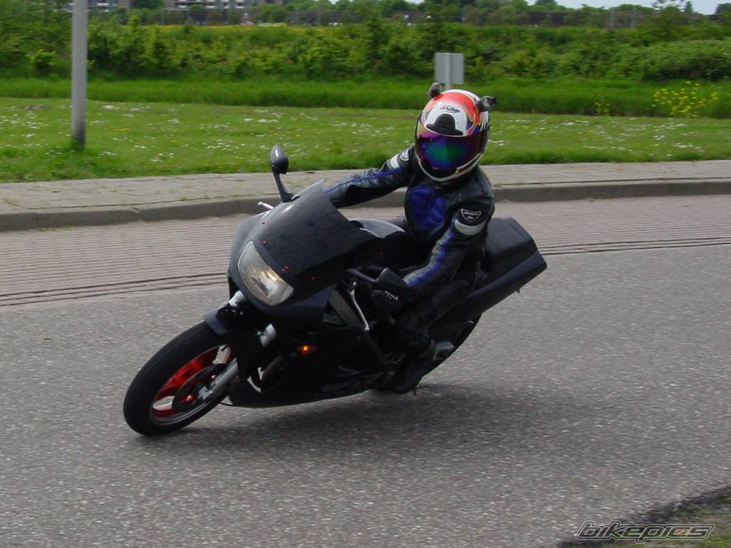 Photo 152981