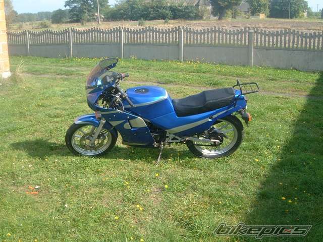 Photo 1529824