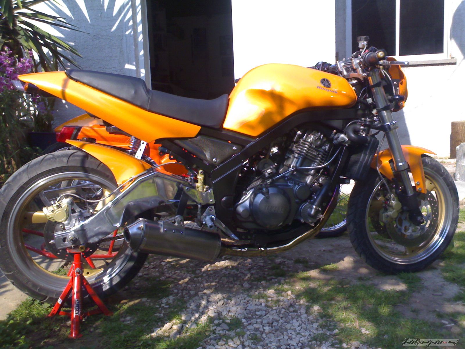 Photo 1529839