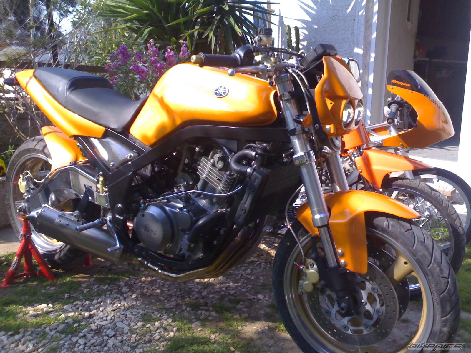 Photo 1529844