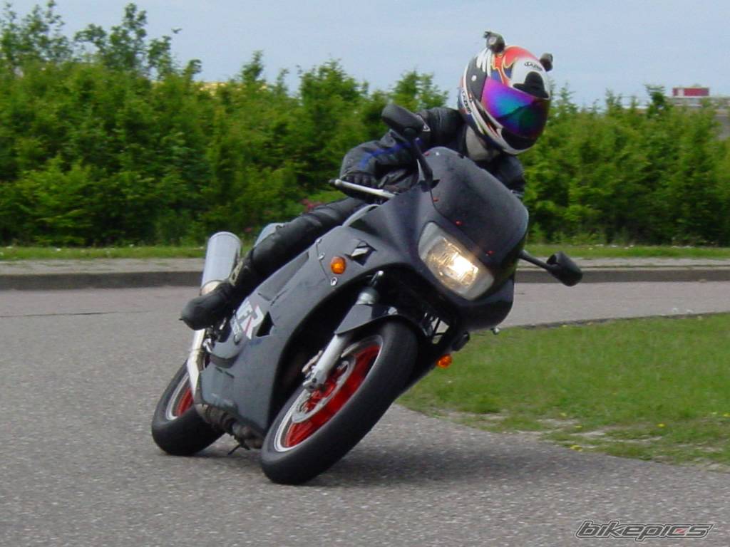Photo 152985