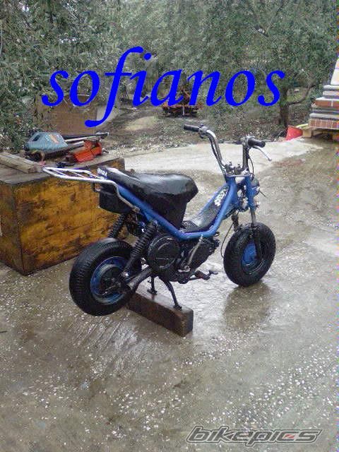 Photo 1529853