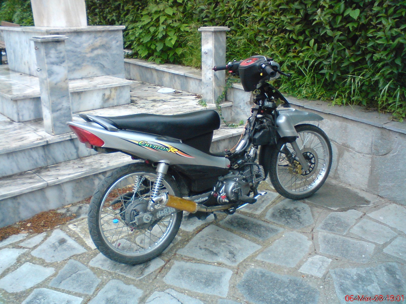 Photo 1529855