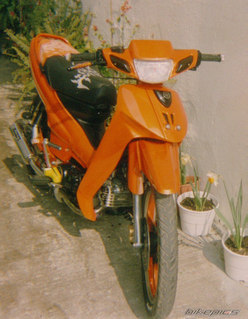 Photo 1529870