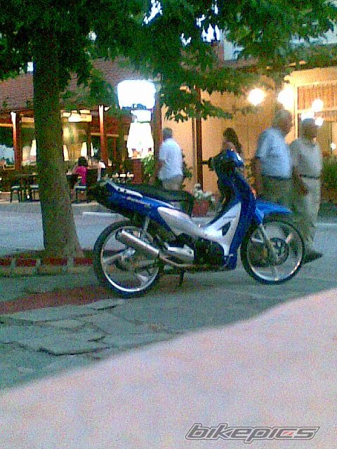 Photo 1529877