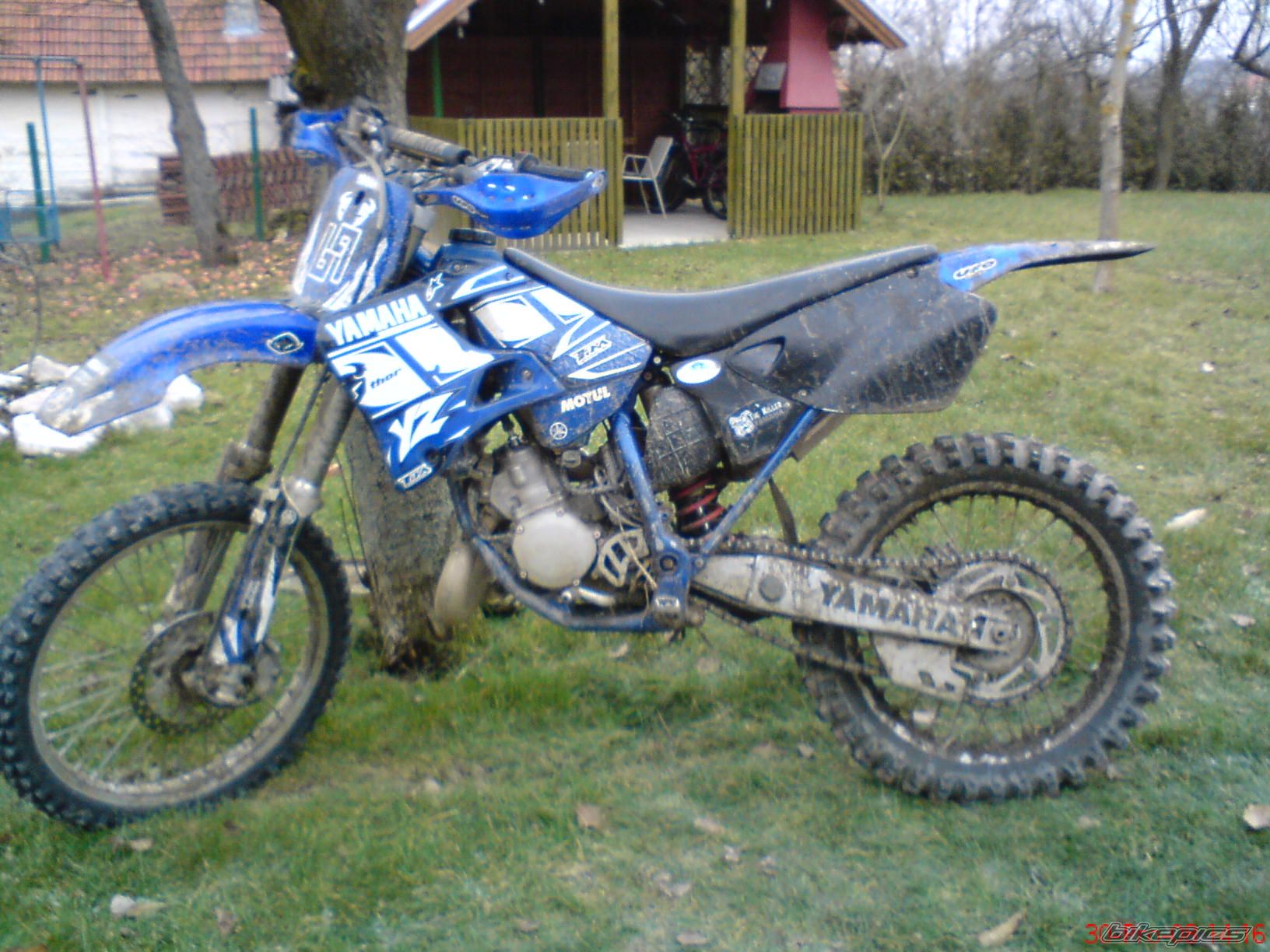 Photo 1529899