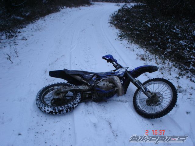 Photo 1529904