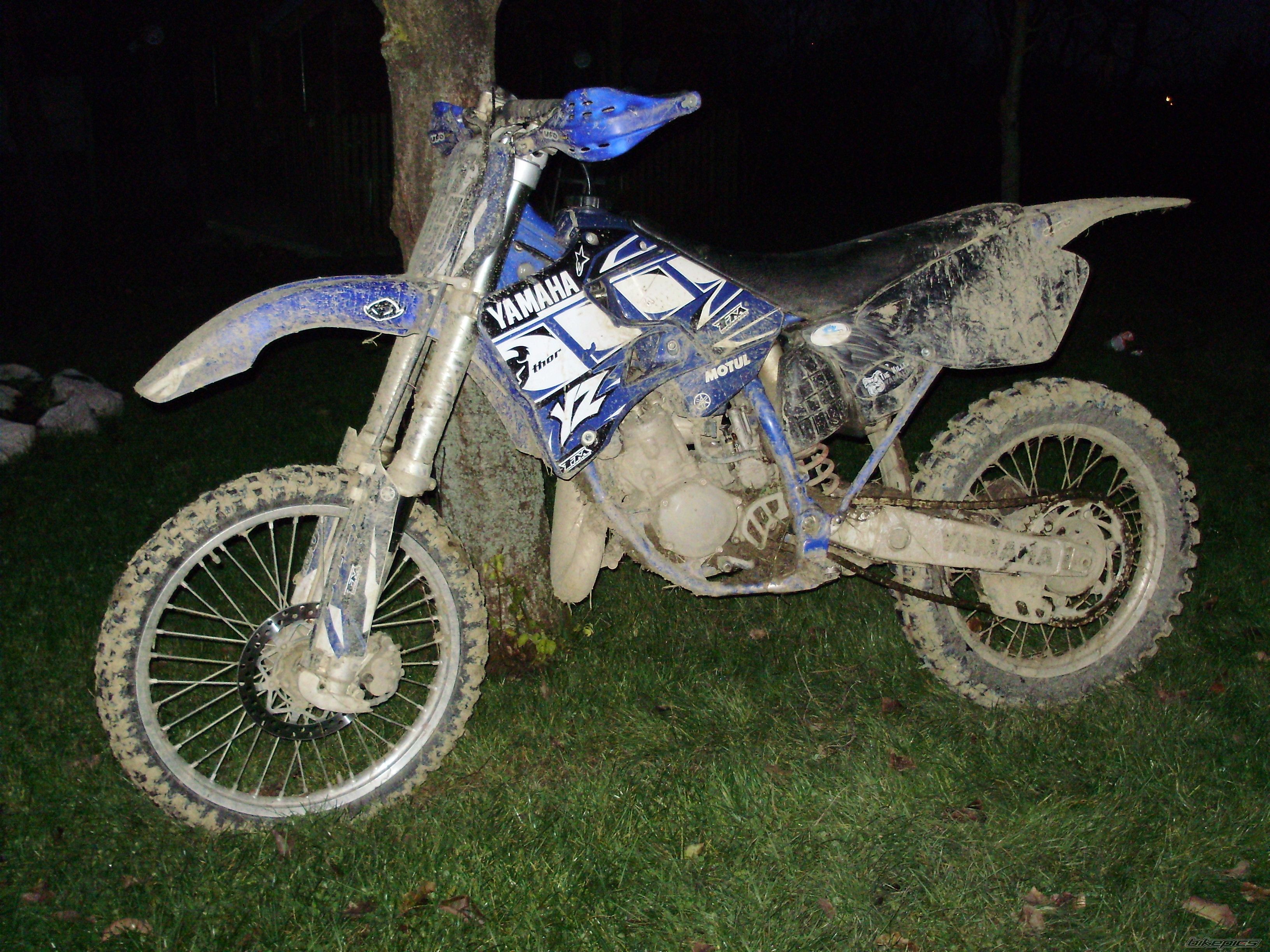 Photo 1529910