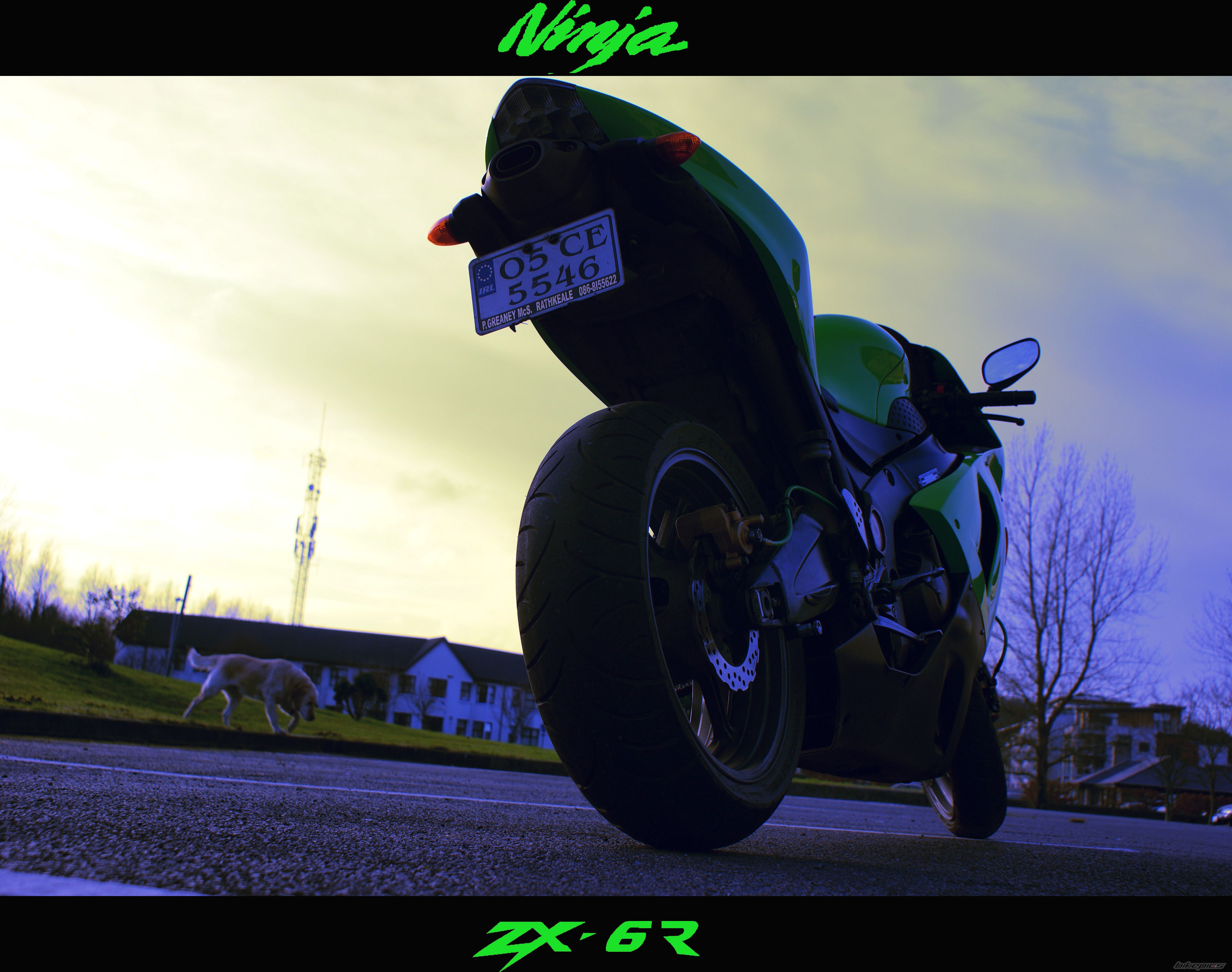 Bike Photo 1530021