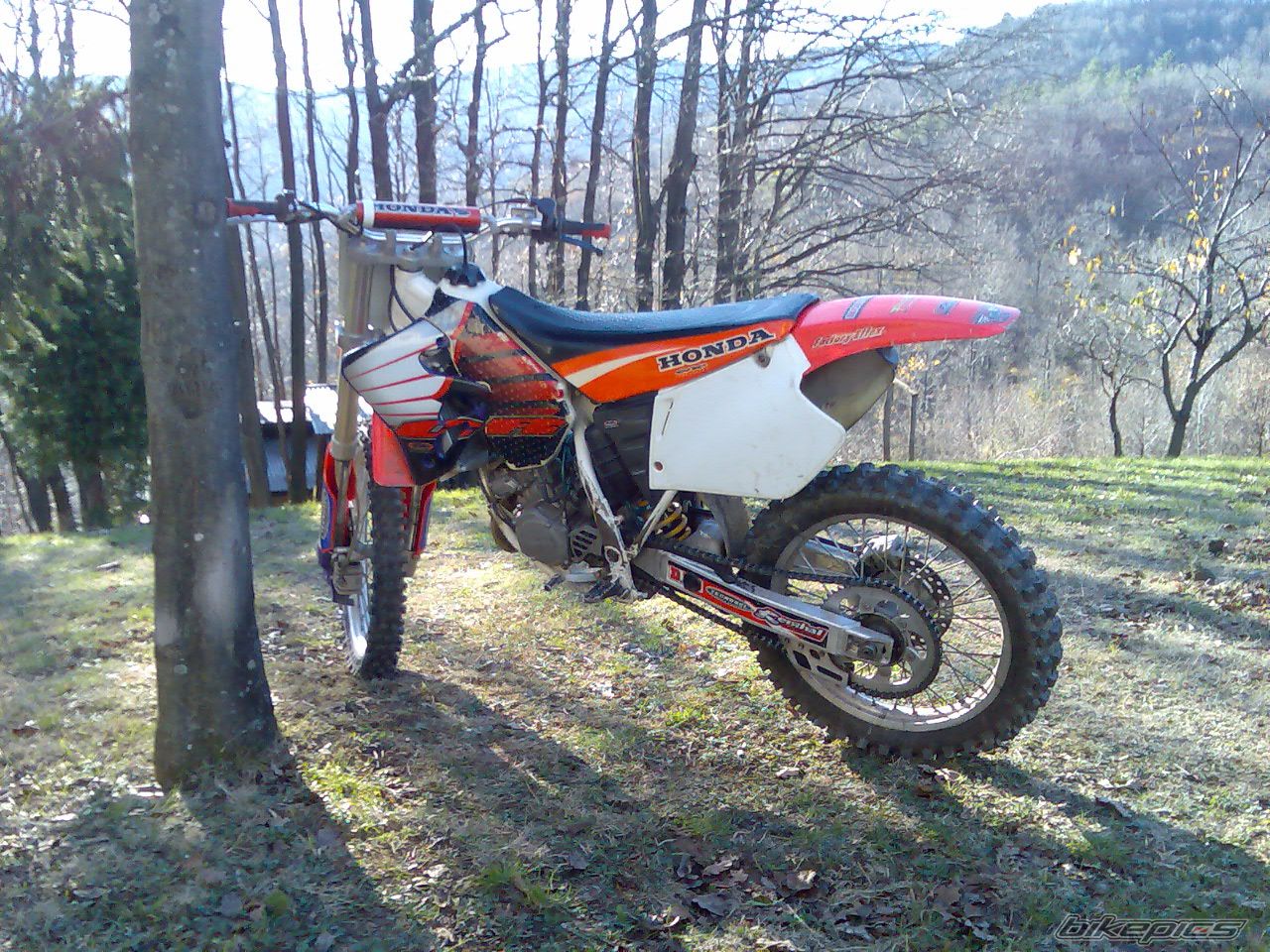 Photo 1530034