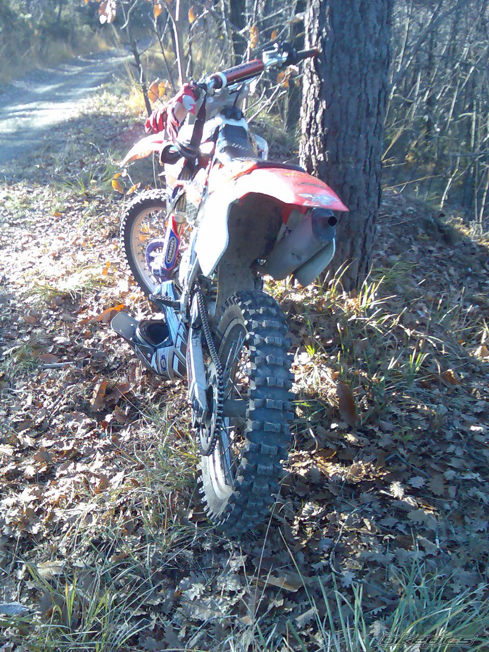 Photo 1530036