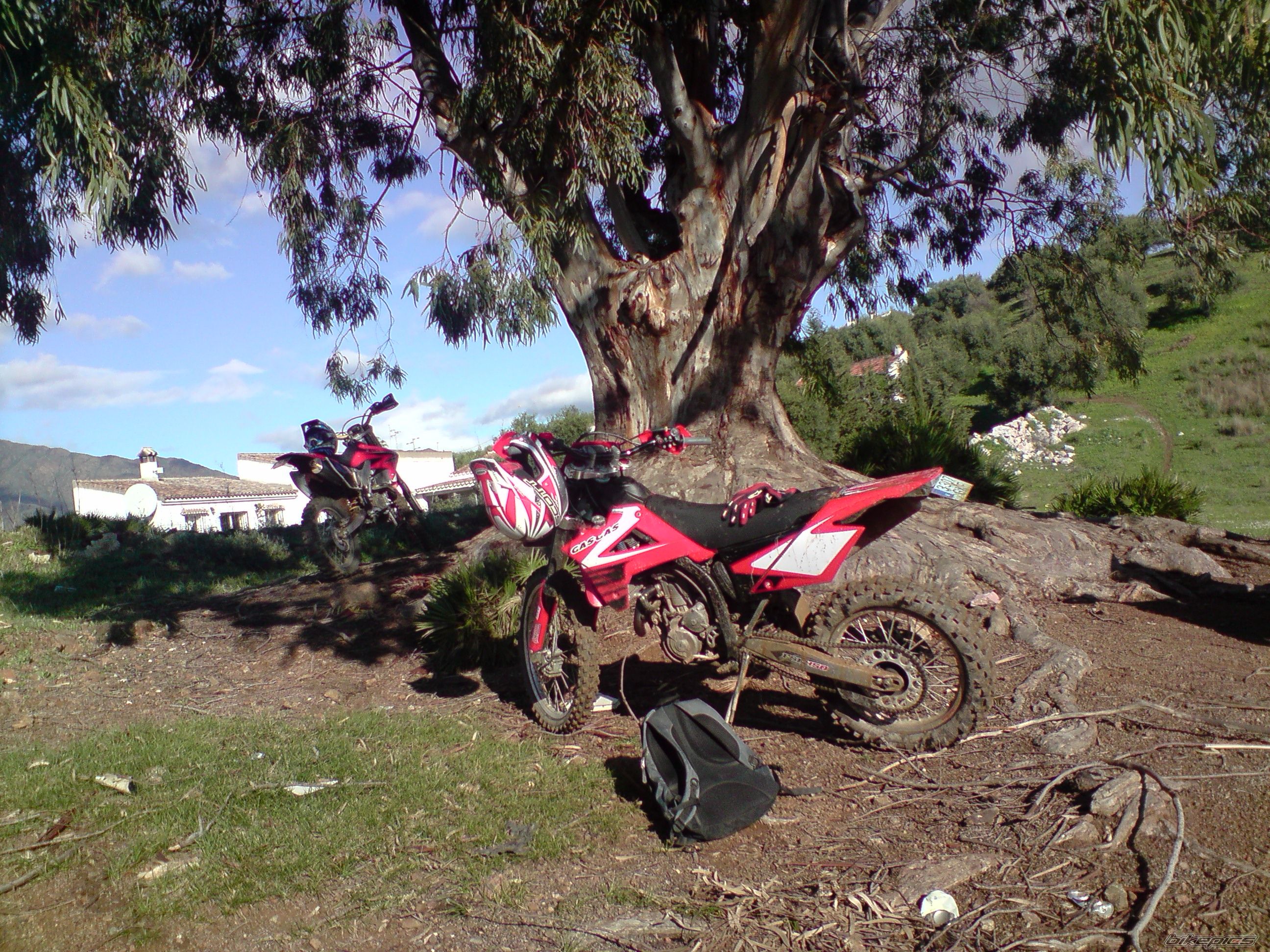 Photo 1530096